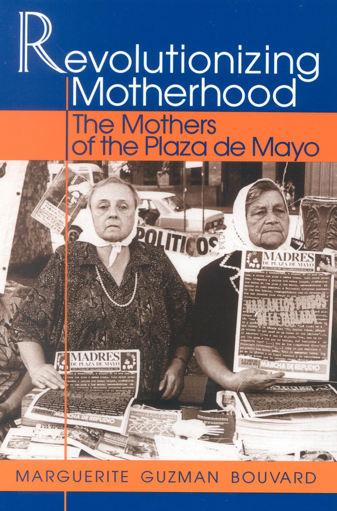 Revolutionizing Motherhood Books
