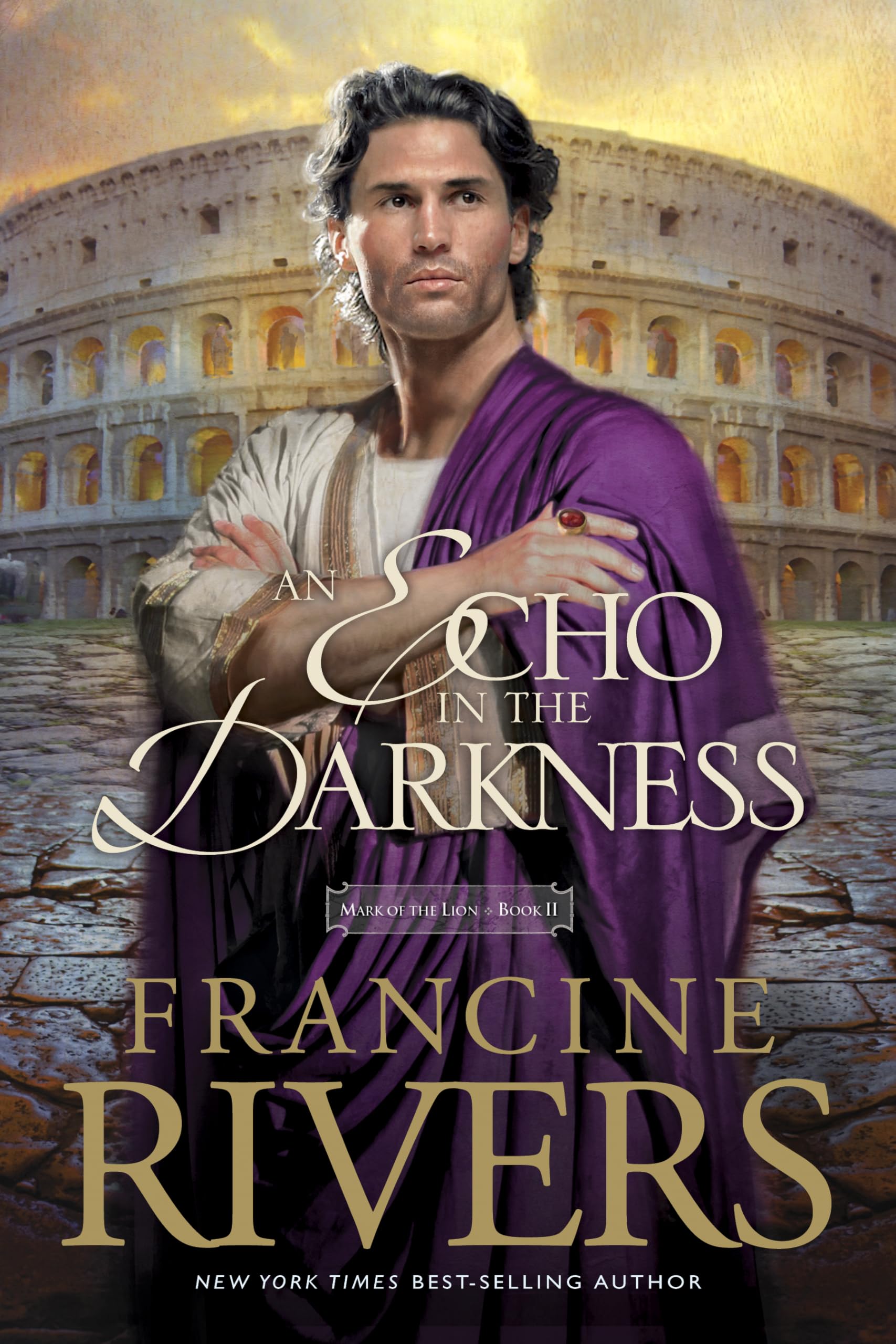 Echo in the Darkness Contemporary literature Books