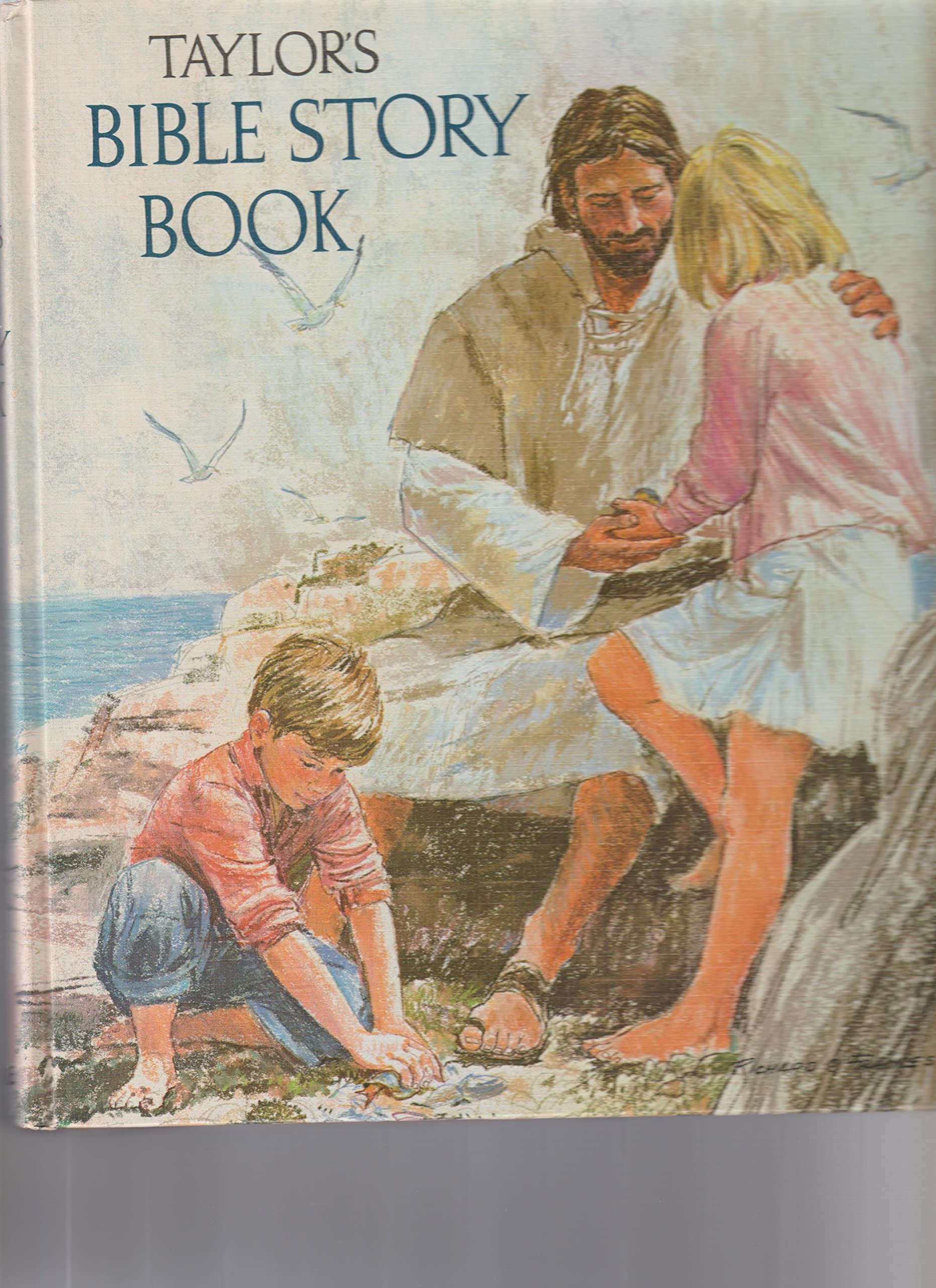 Taylor's Bible Story Book book