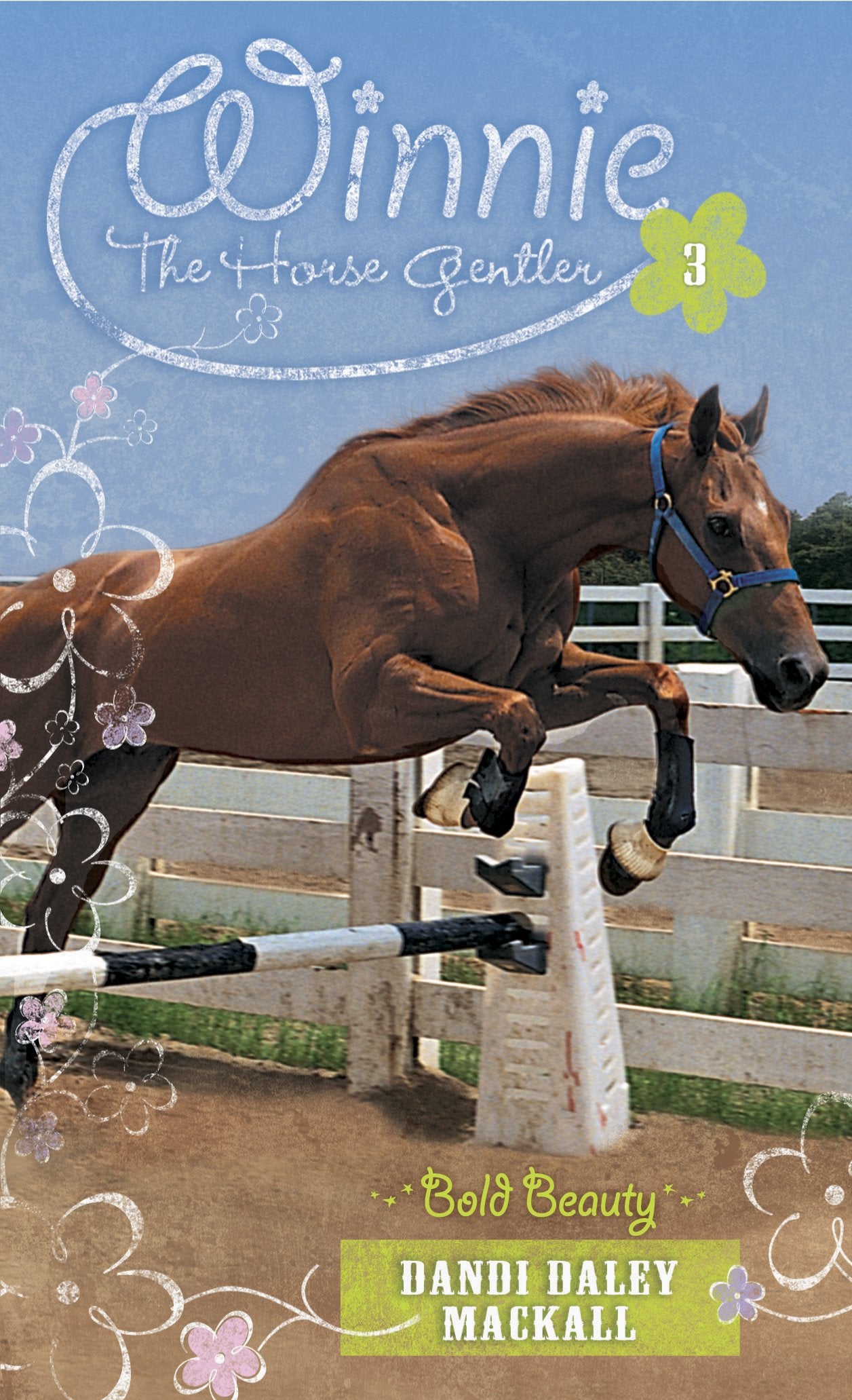 Bold Beauty (Winnie the Horse Gentler, Band 3) Non-fiction