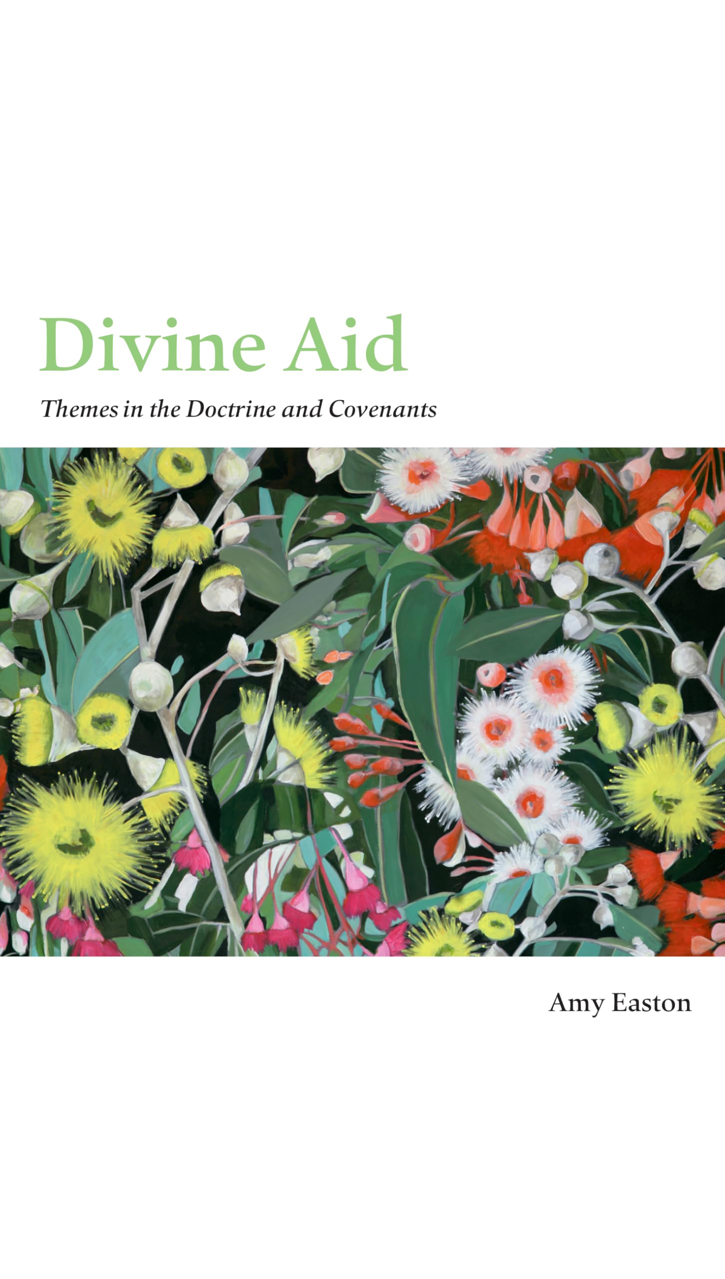 Divine Aid: Themes in the Doctrine and Covenants Religion & Esotericism