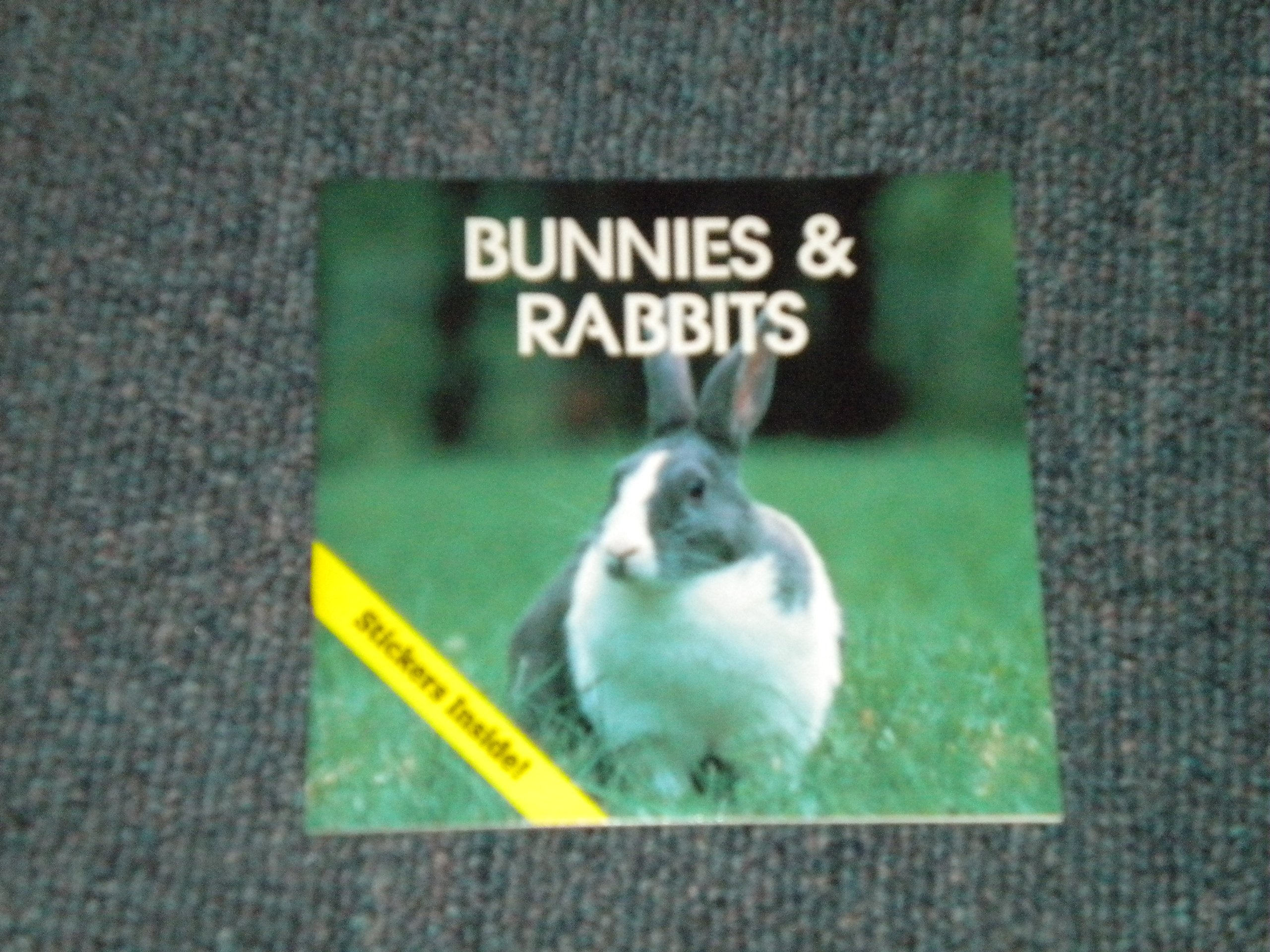 Bunnies and Rabbits (Animal Information Series) Books
