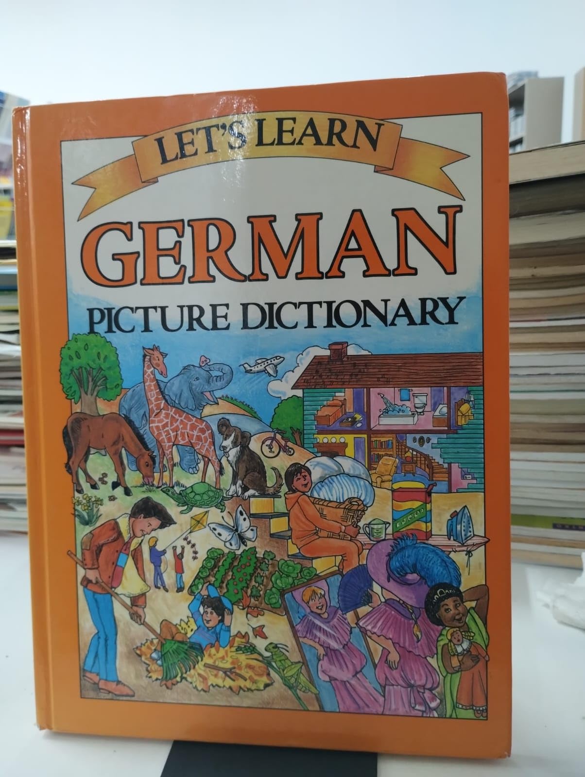Let's Learn German Picture Dictionary Non-fiction