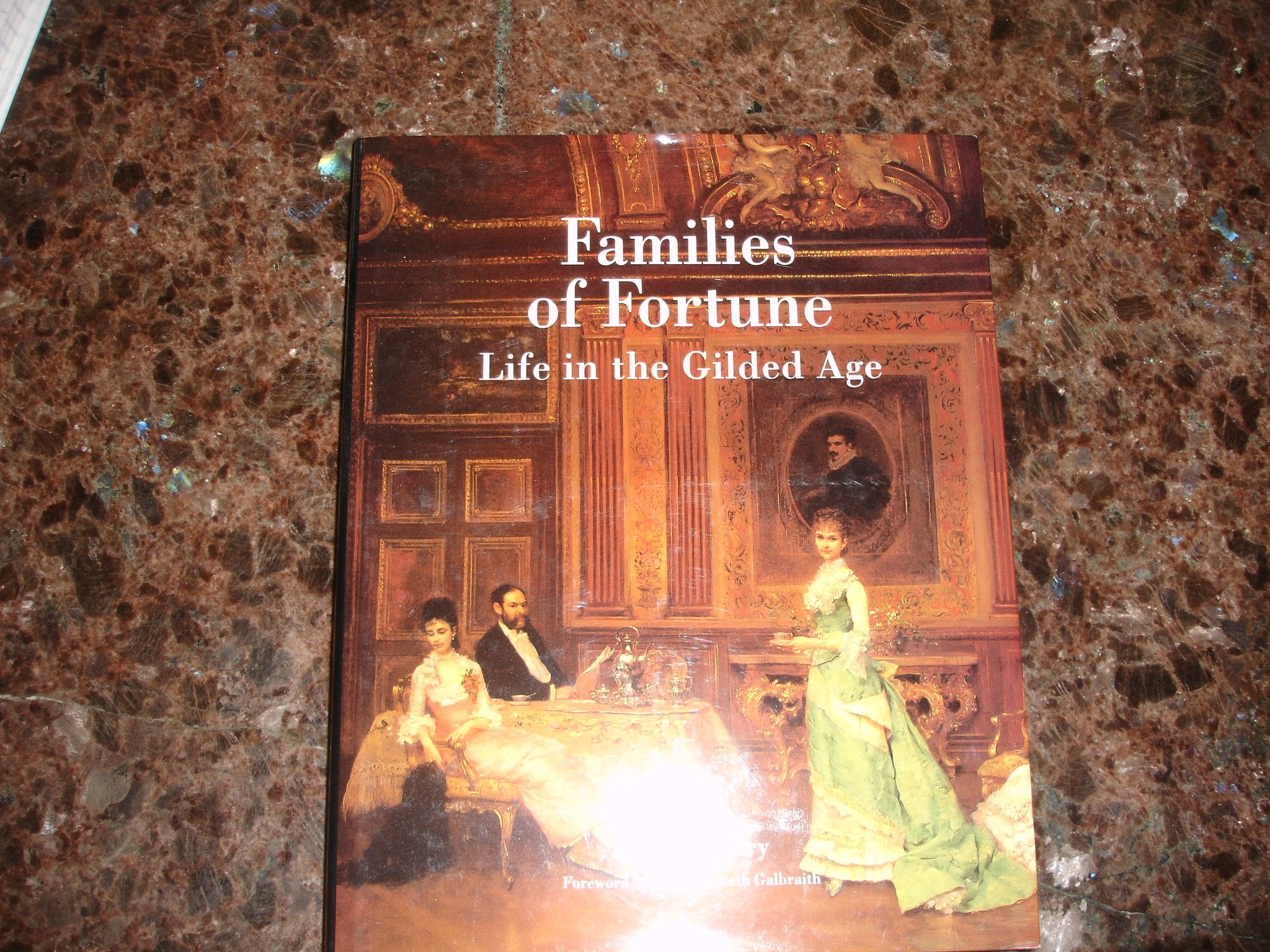 Families of Fortune: Life in the Gilded Age Politics & History
