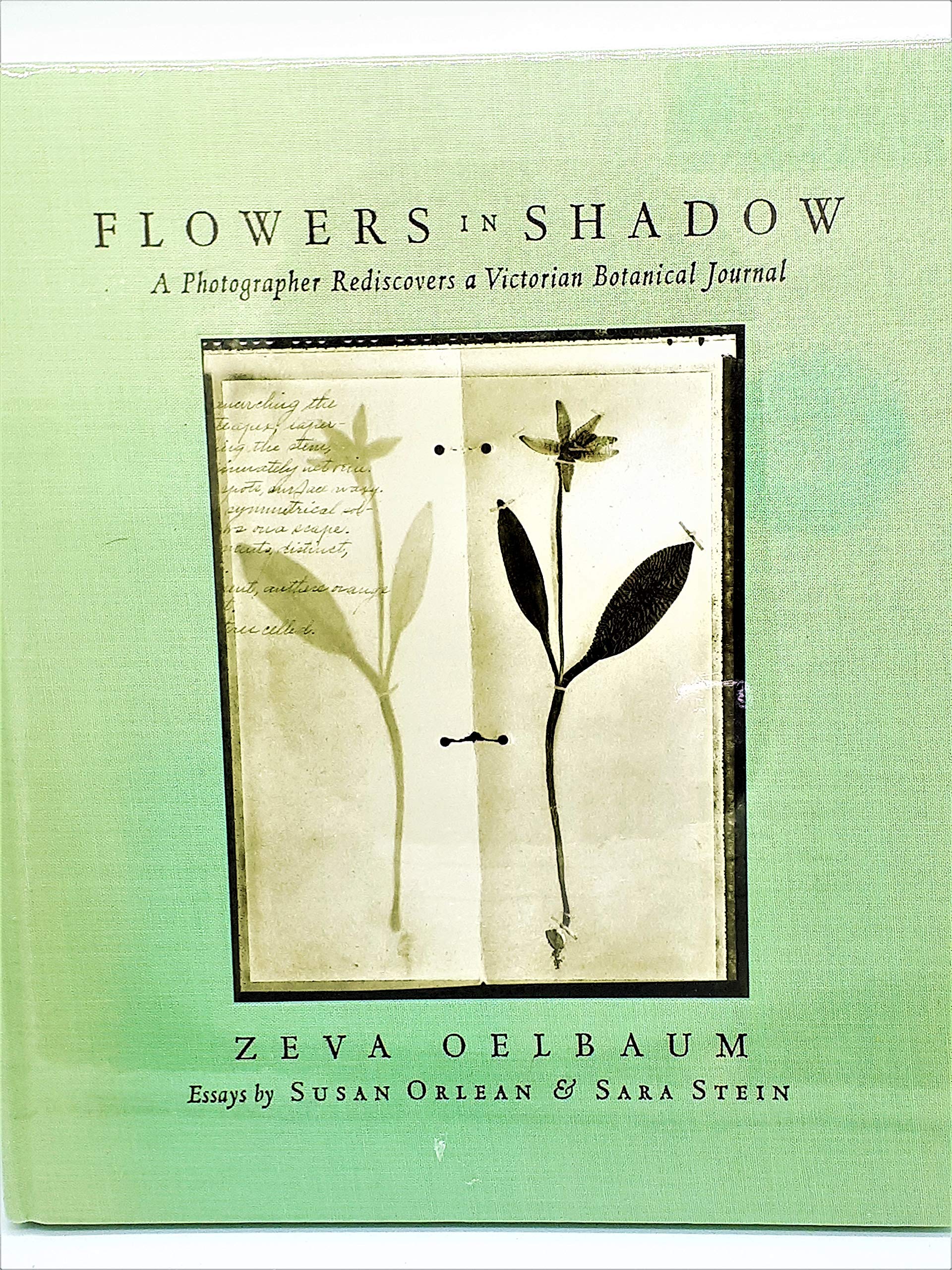 Flowers in Shadow: A Photographer Discovers a Victorian Botanical Journas: The Photographic Rediscovery of a Victorian Botanical Journal Arts & Music
