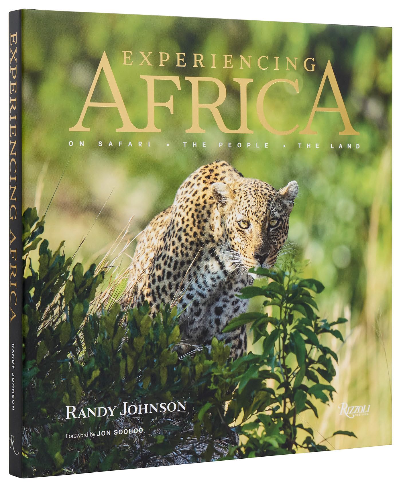 Experiencing Africa: On Safari The People The Land Mathematics