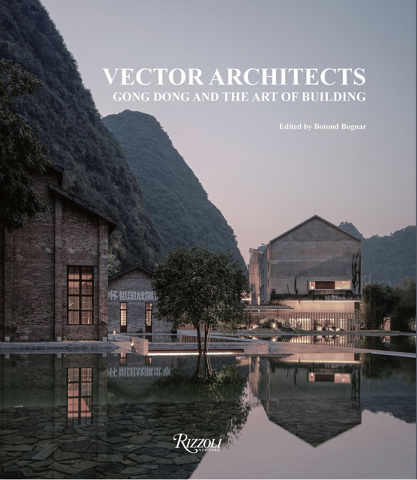 Vector Architects: Gong Dong and the Art of Building Architecture