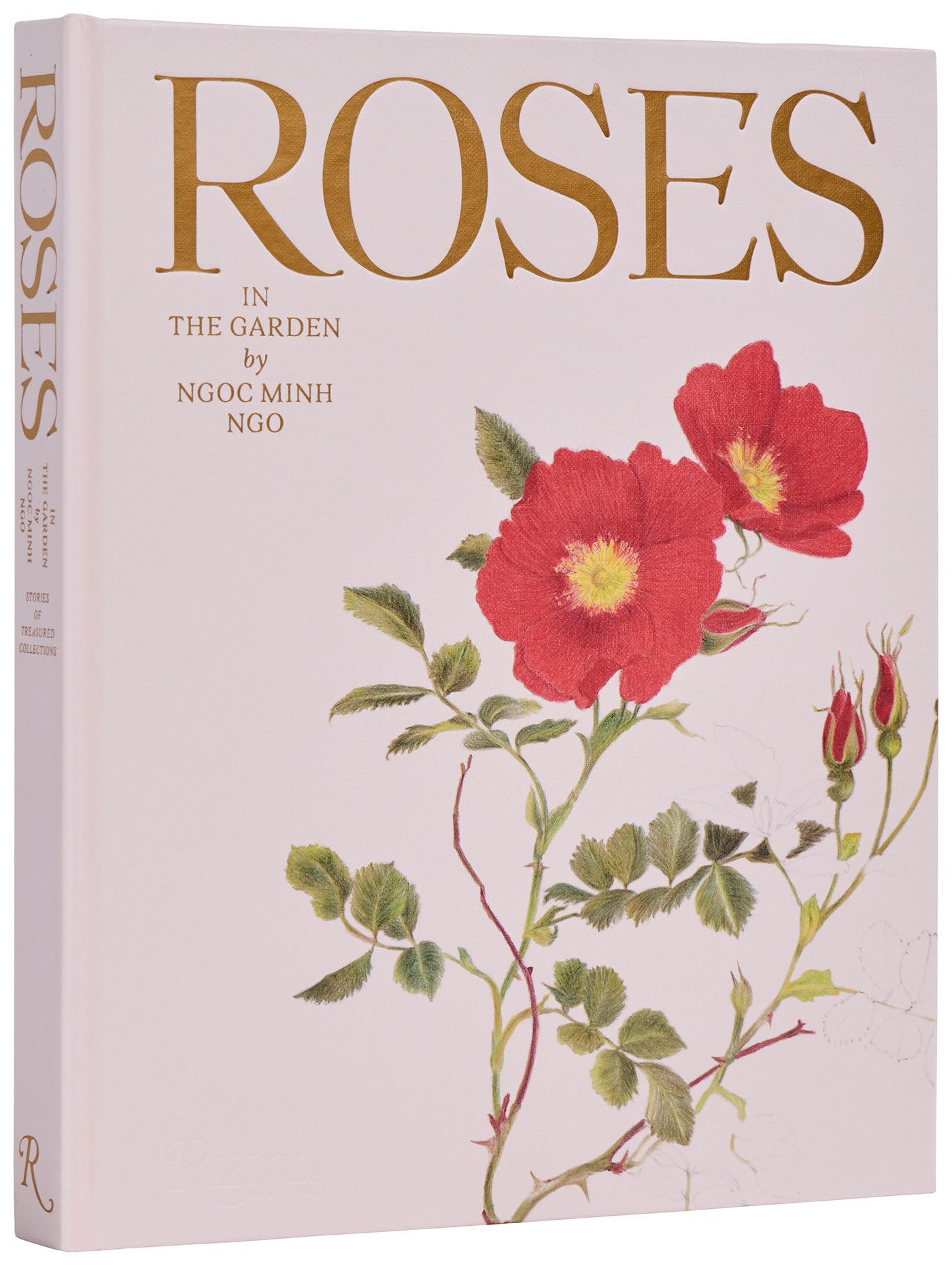 Roses in the Garden Photography