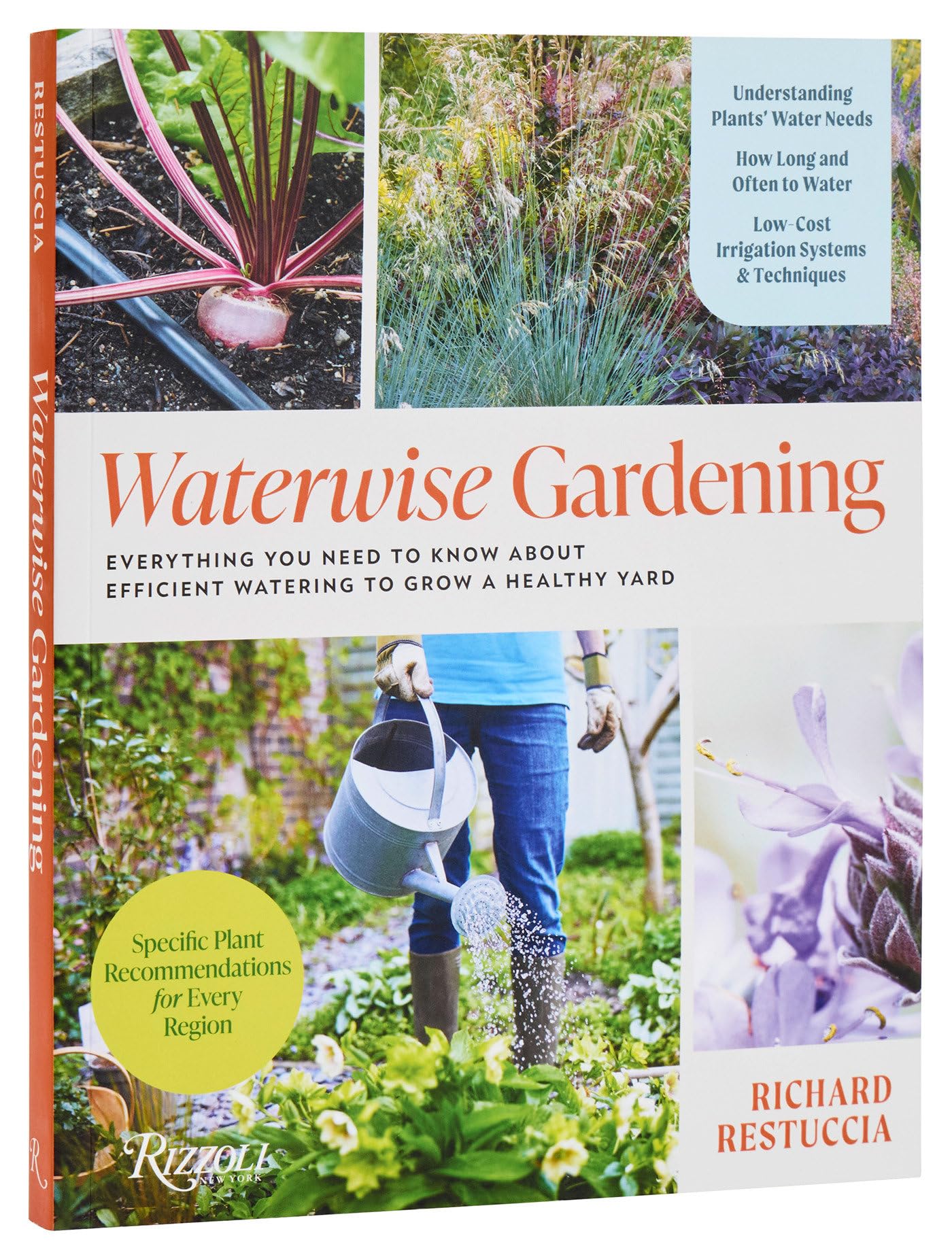 Waterwise Gardening: Everything You Need to Know About Efficient Watering to Grow a Healthy Yard Film, Art & Culture