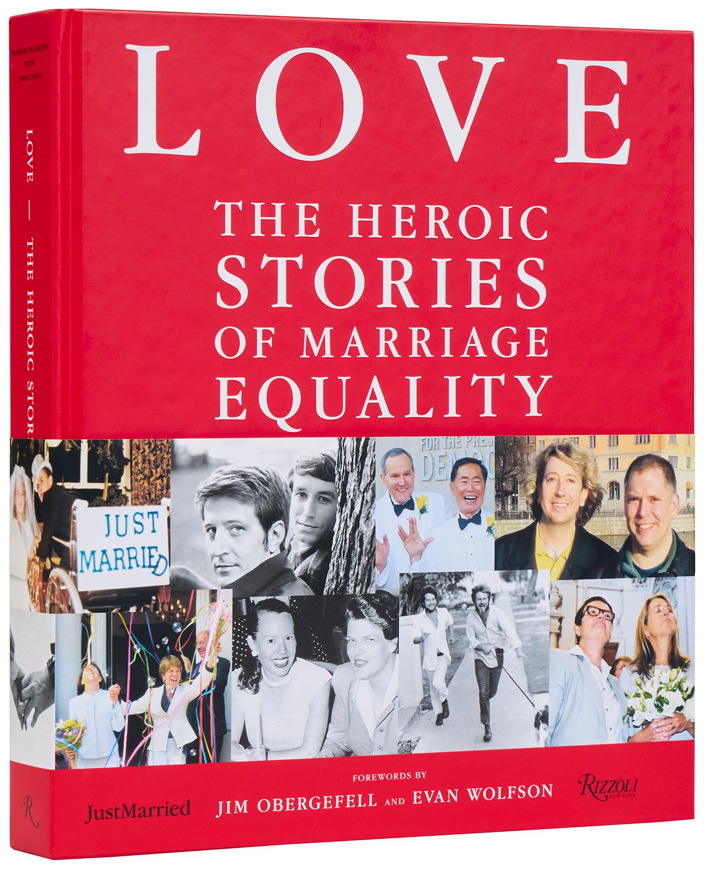 LOVE: The Heroic Stories of Marriage Equality Books