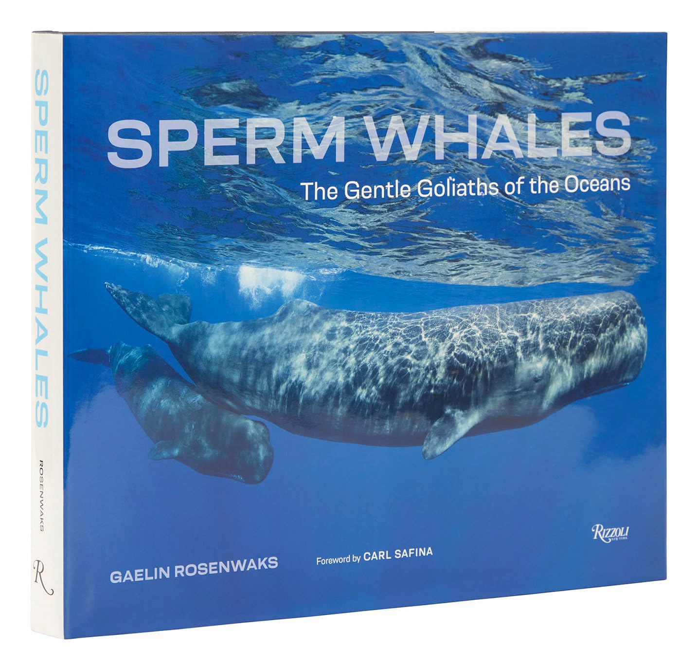 Sperm Whales: The Gentle Goliaths of the Ocean Geology & Geography