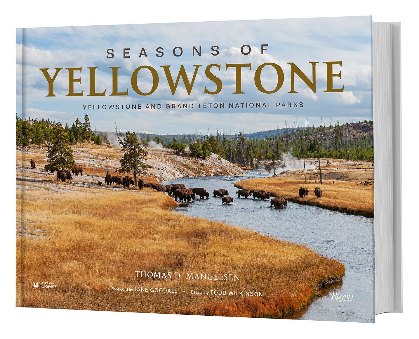 Seasons of Yellowstone: Yellowstone and Grand Teton National Parks Geology & Geography