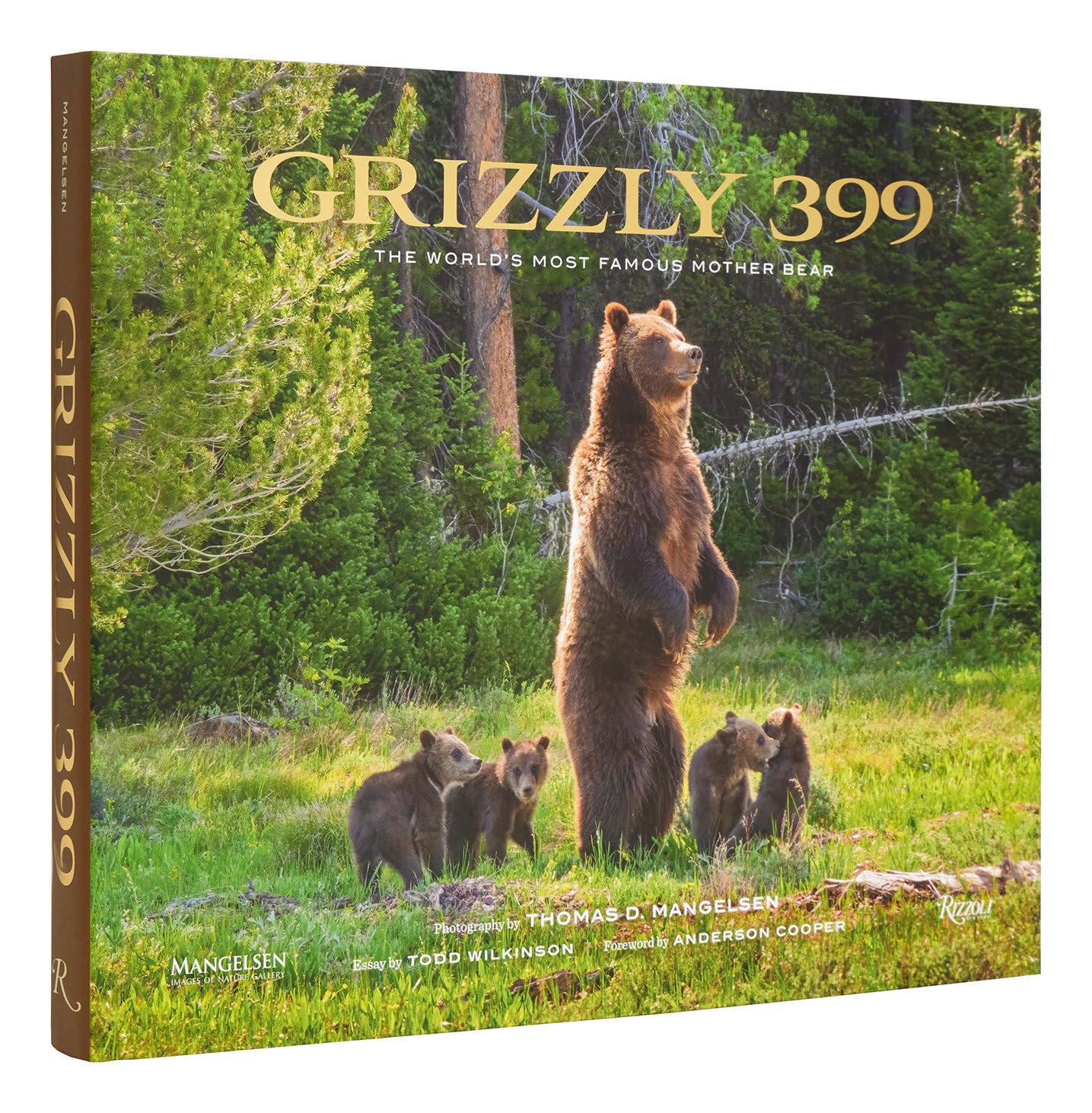 Grizzly 399: The World's Most Famous Mother Bear Mathematics