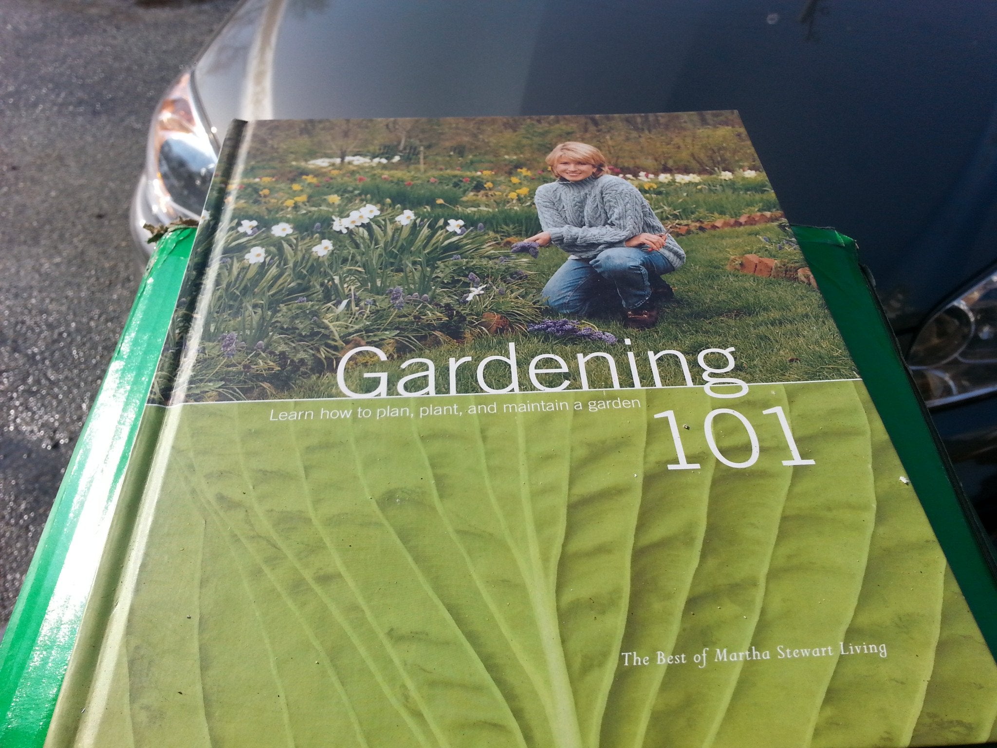 Gardening 101: Learn How to Plan, Plant, and Maintain a Garden (The Best of Martha Stewart Living) Books