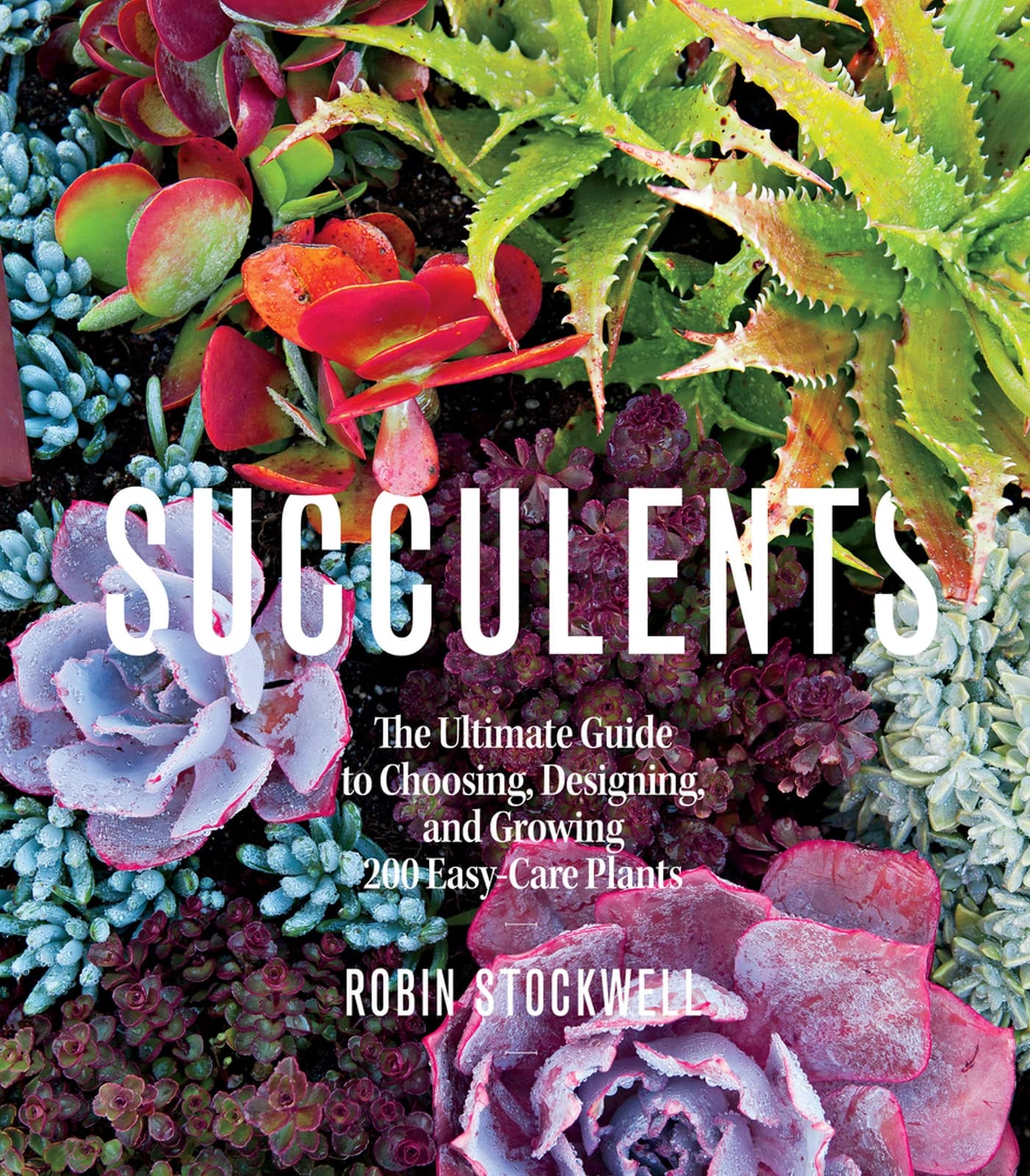 Succulents: The Ultimate Guide to Choosing, Designing, and Growing 200 Easy Care Plants (Sunset) Garden & Plants