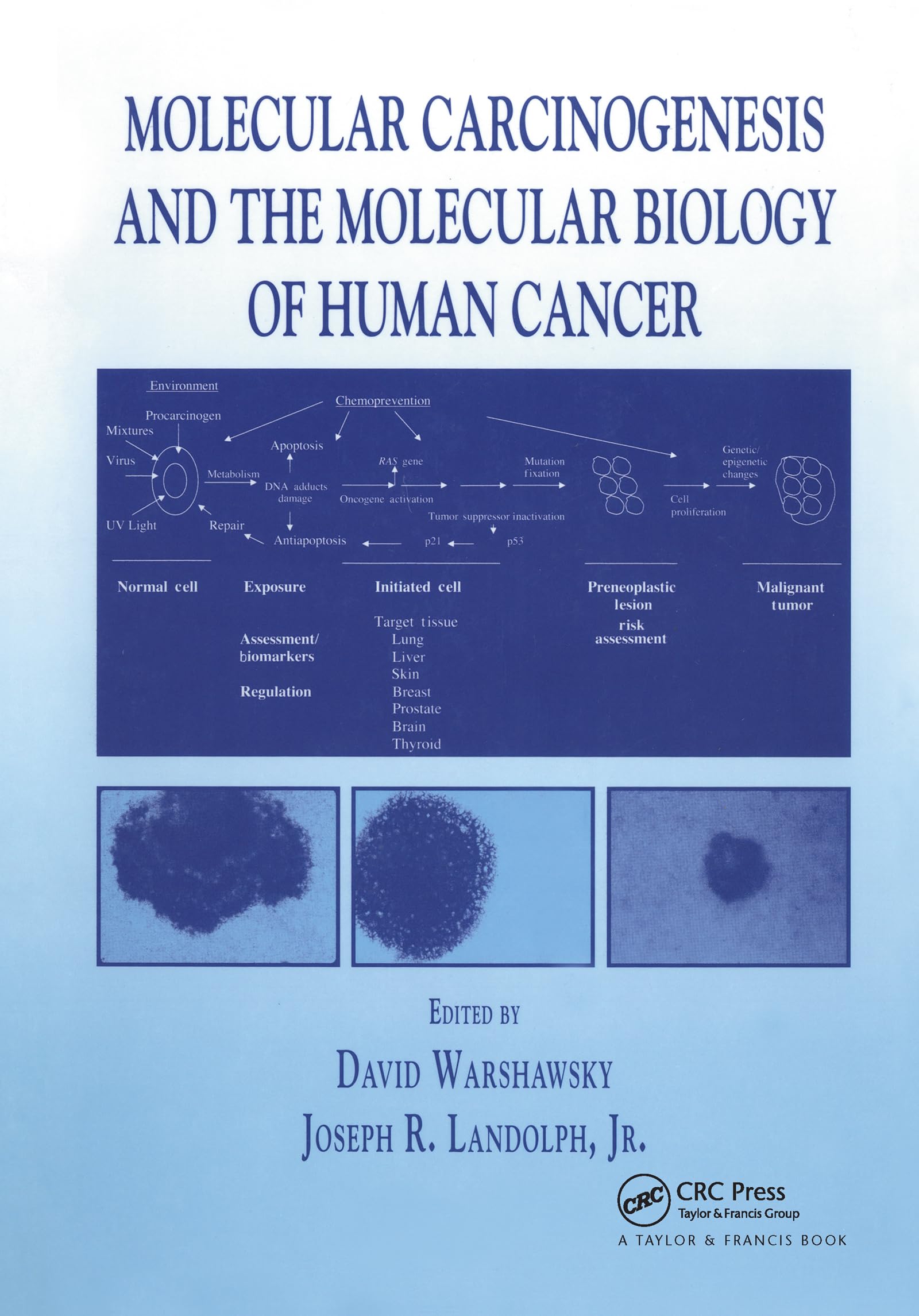 Molecular Carcinogenesis and the Molecular Biology of Human Cancer book