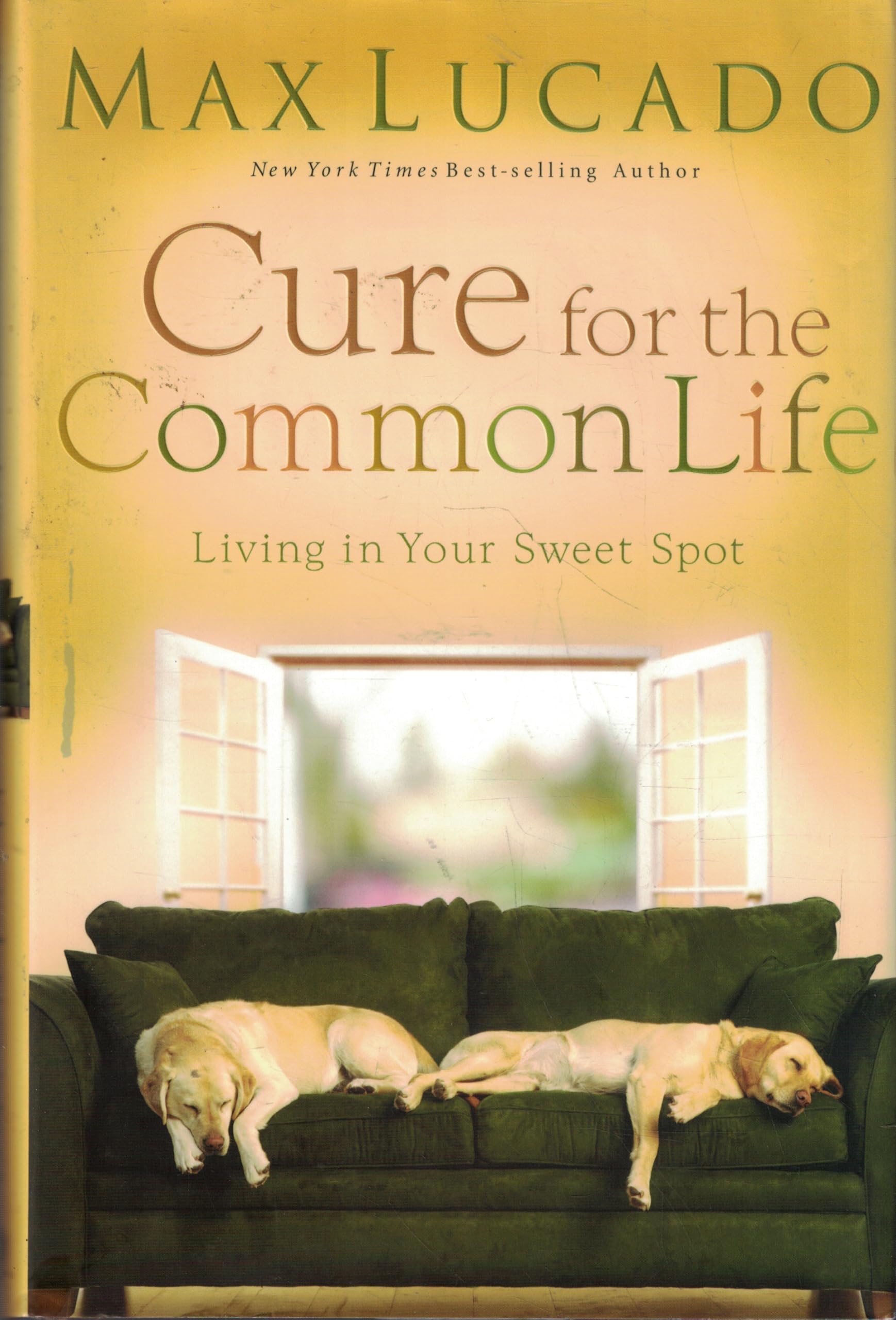 Cure for the Common Life: Living in Your Sweet Spot Religion & Esotericism