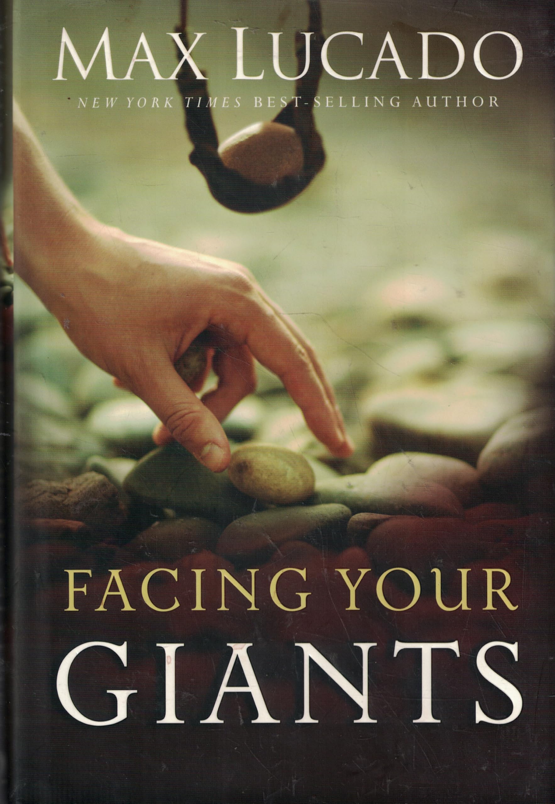 Facing Your Giants: A David and Goliath Story for Everyday People book