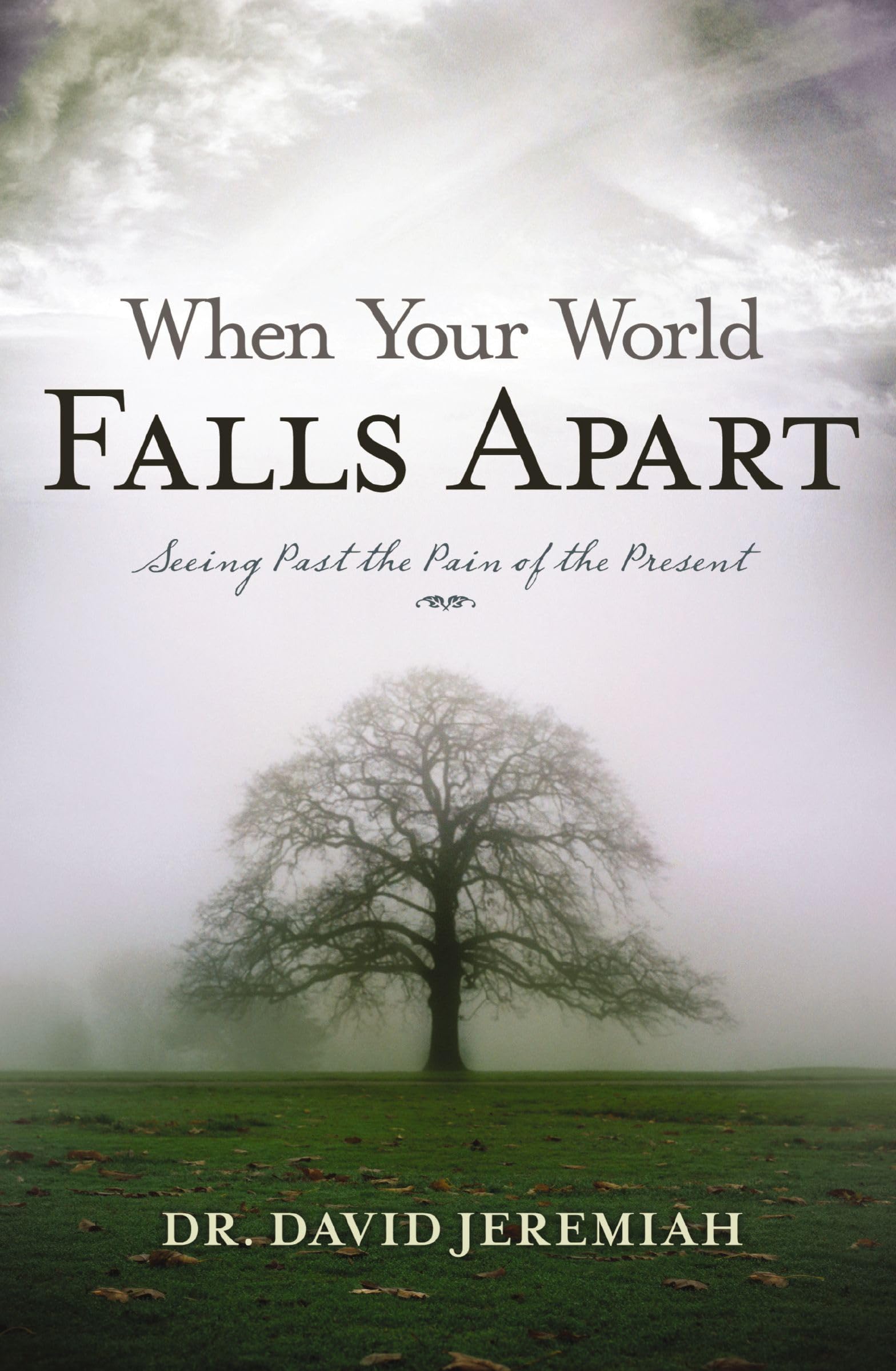 When Your World Falls Apart: See Past the Pain of the Present Social Sciences