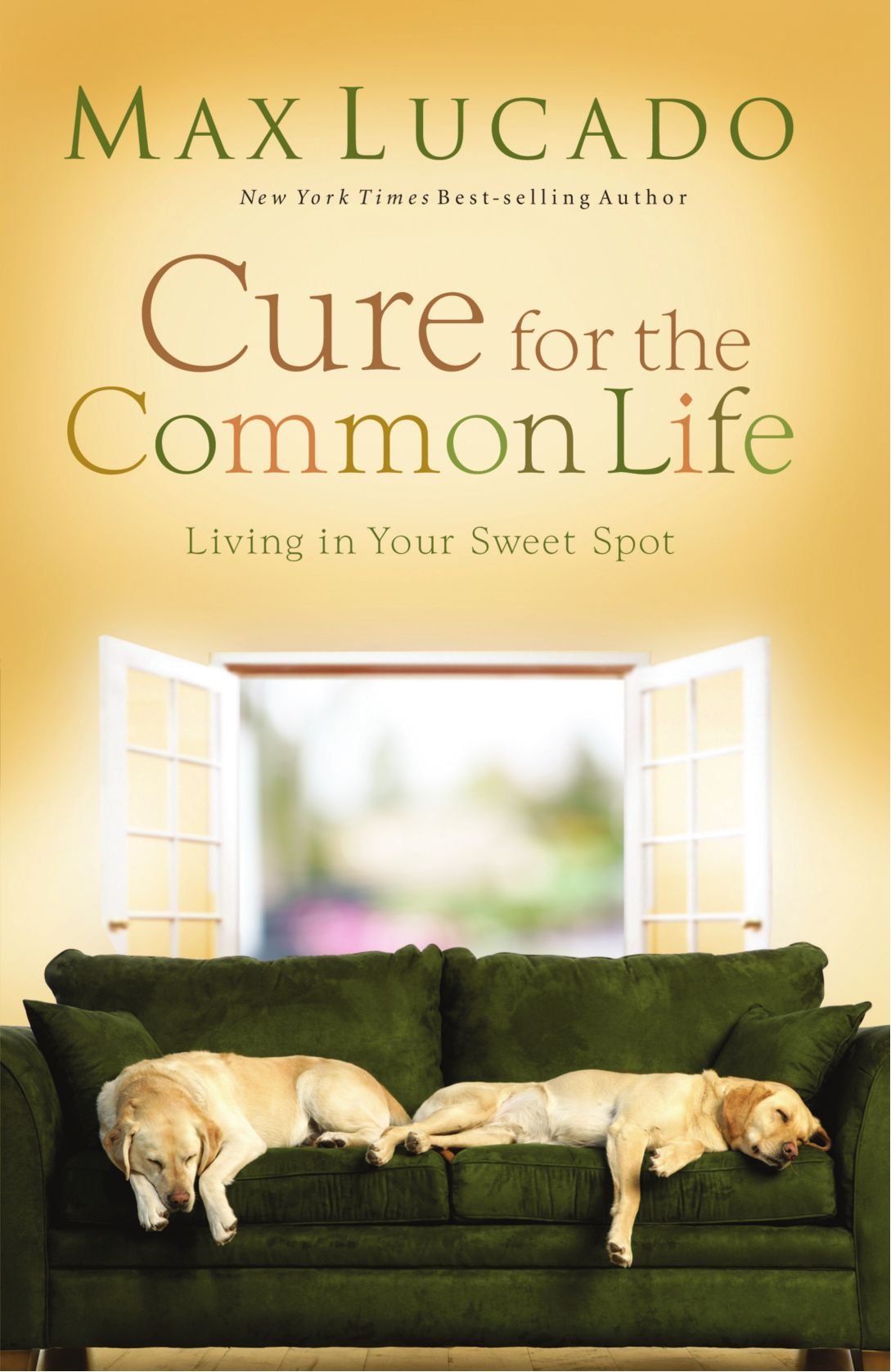 Product Image: CURE FOR THE COMMON LIFE