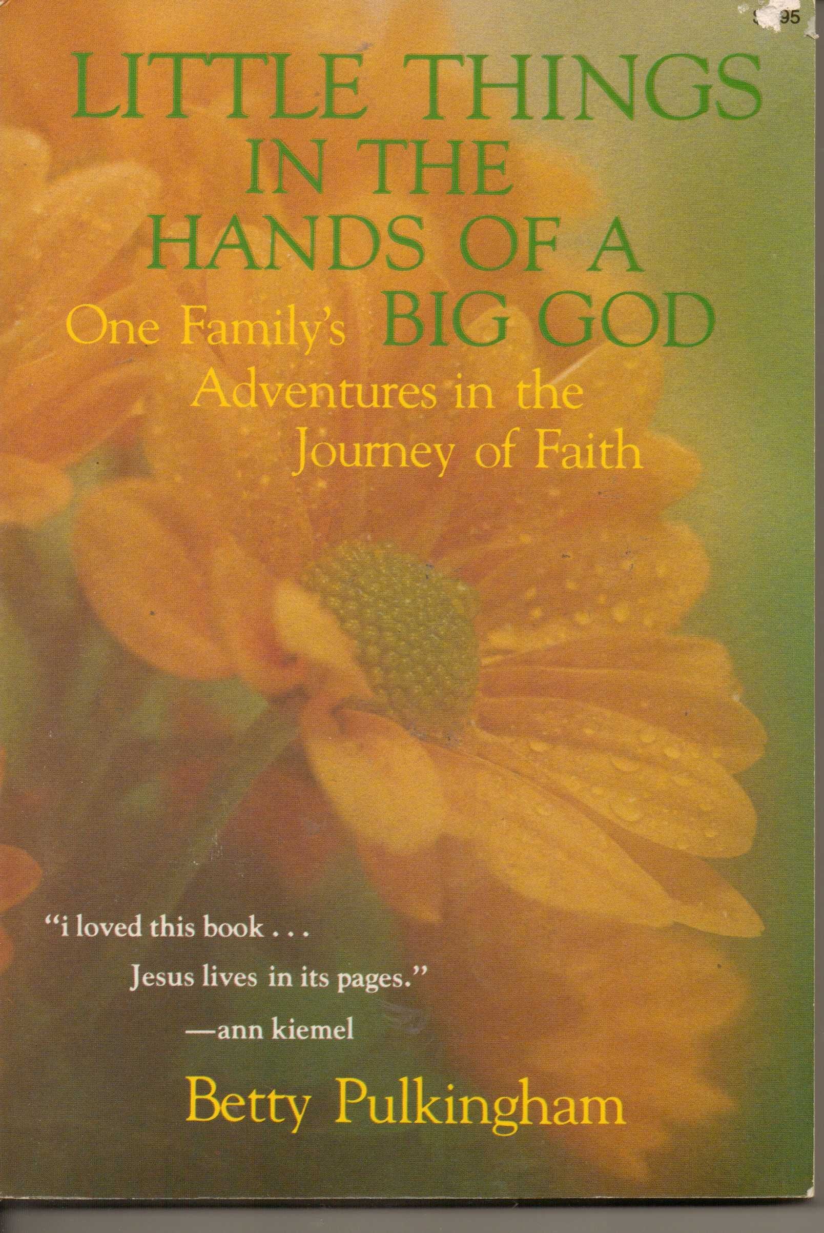 Little things in the hands of a big God Books