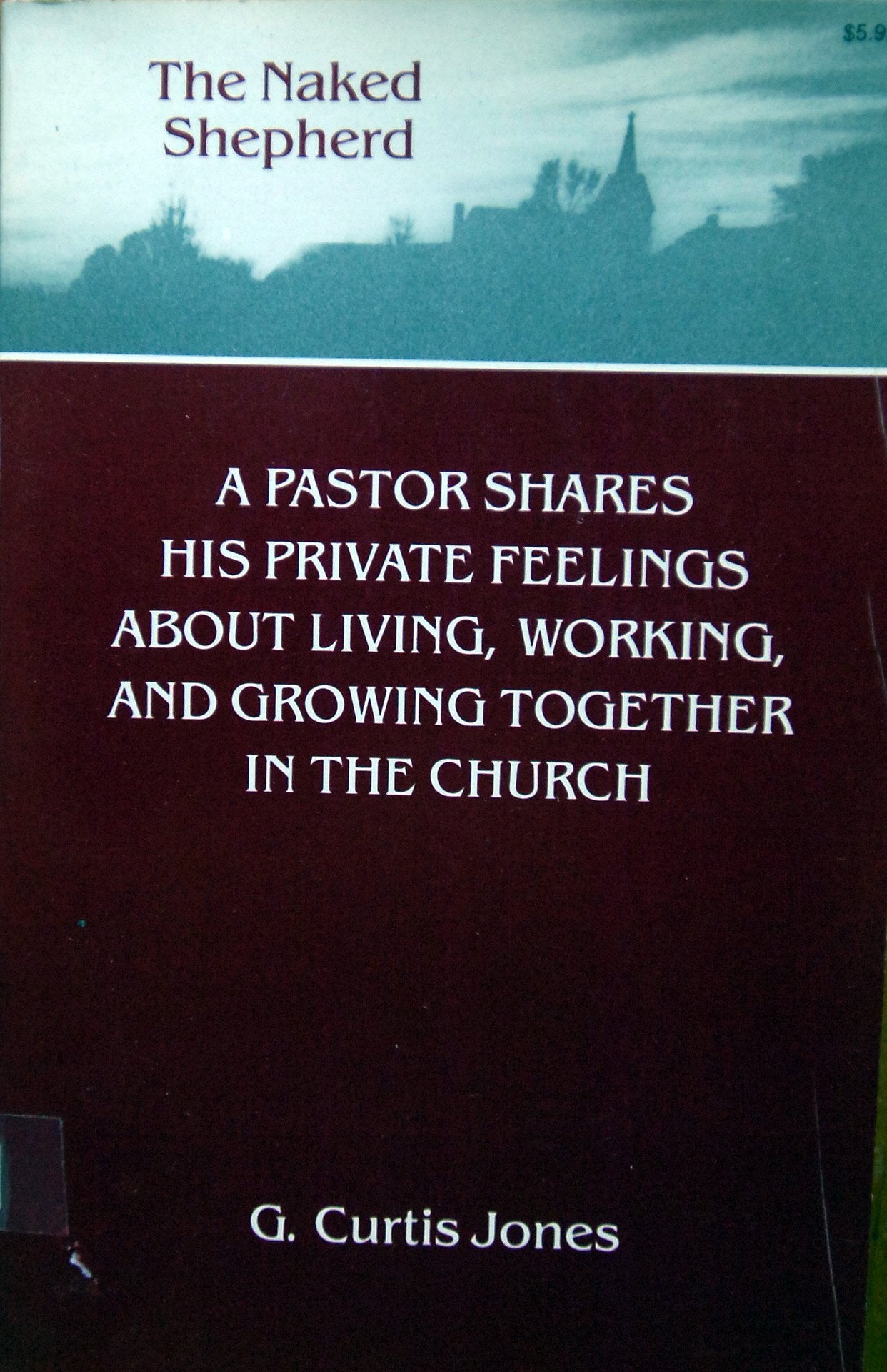 The naked shepherd: A pastor shares his private feelings about living, working, and growing together in the church Books