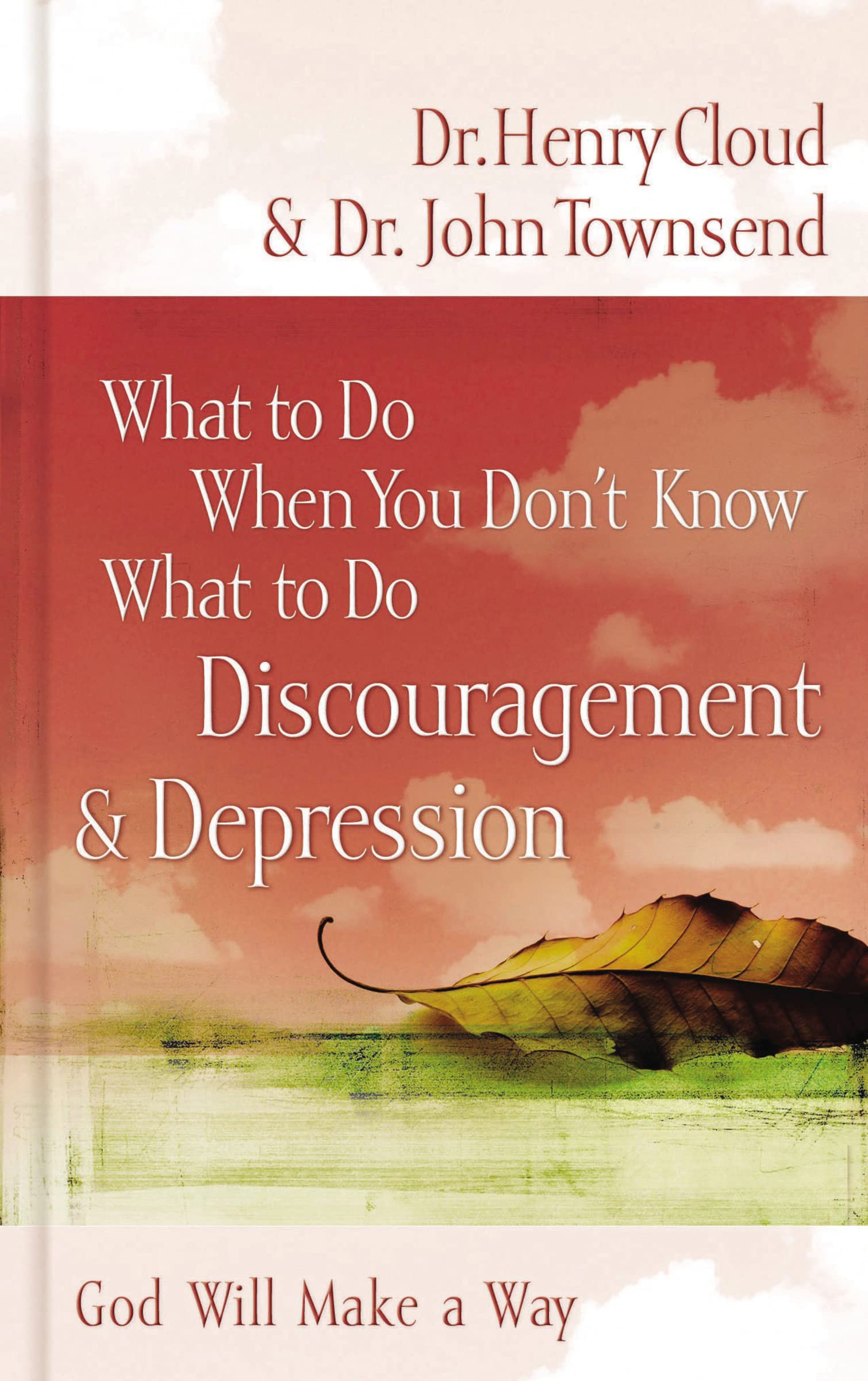 What to Do When You Don't Know What to Do: Discouragement and Depression book