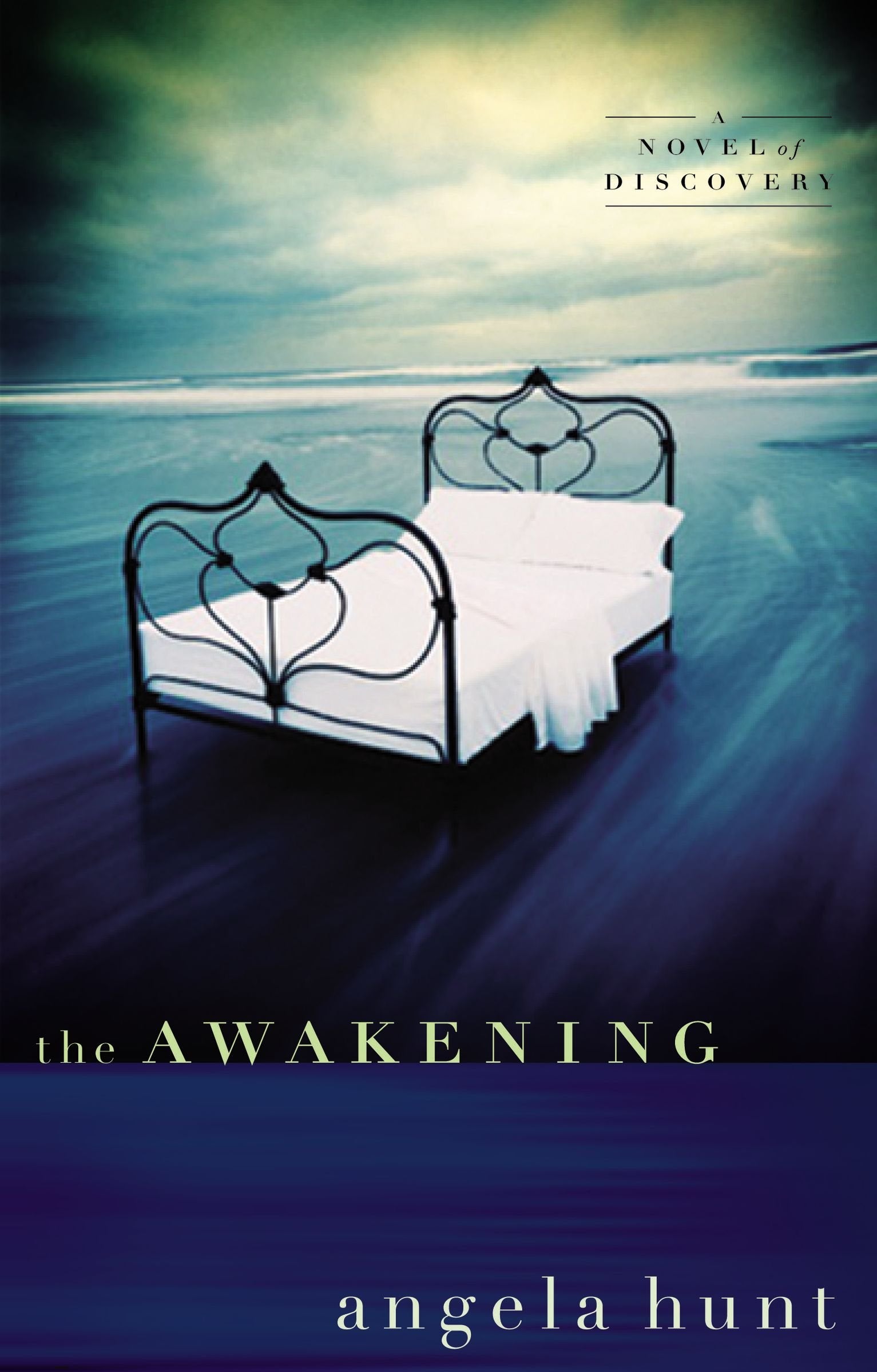 The Awakening: A Novel of Discovery book