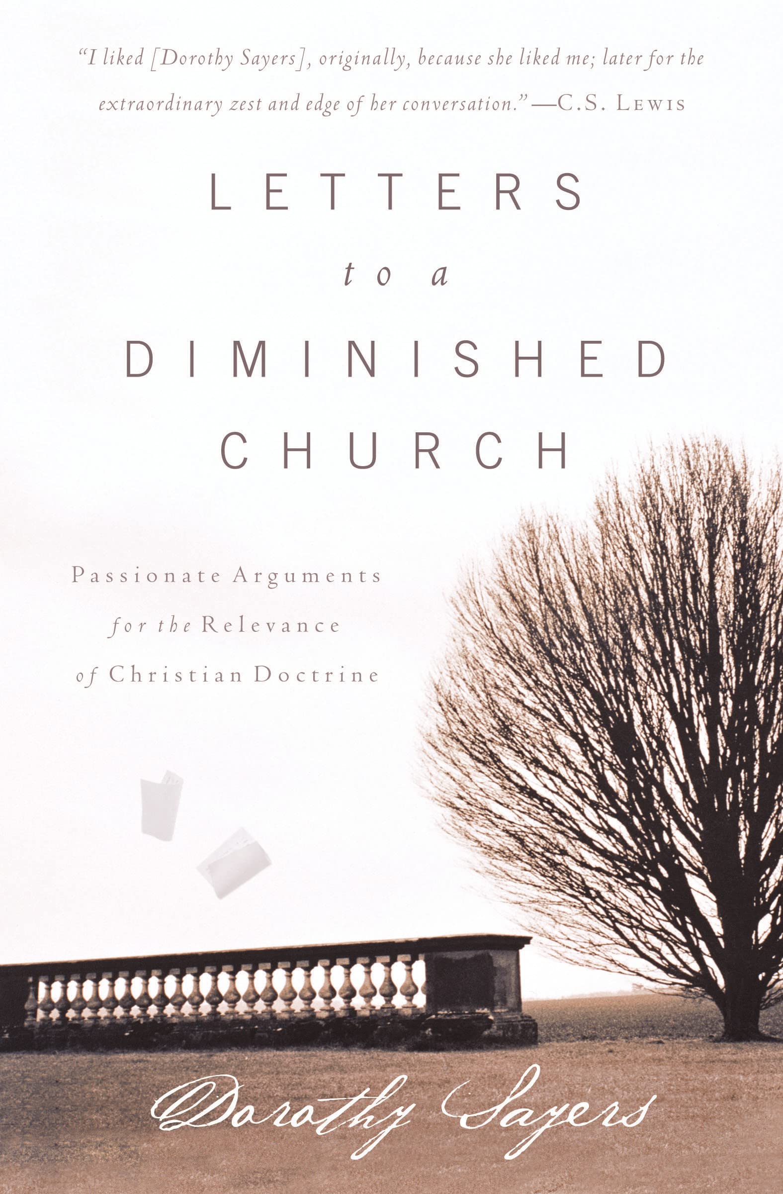 Letters to a Diminished Church: Passionate Arguments for the Relevance of Christian Doctrine Politics & History