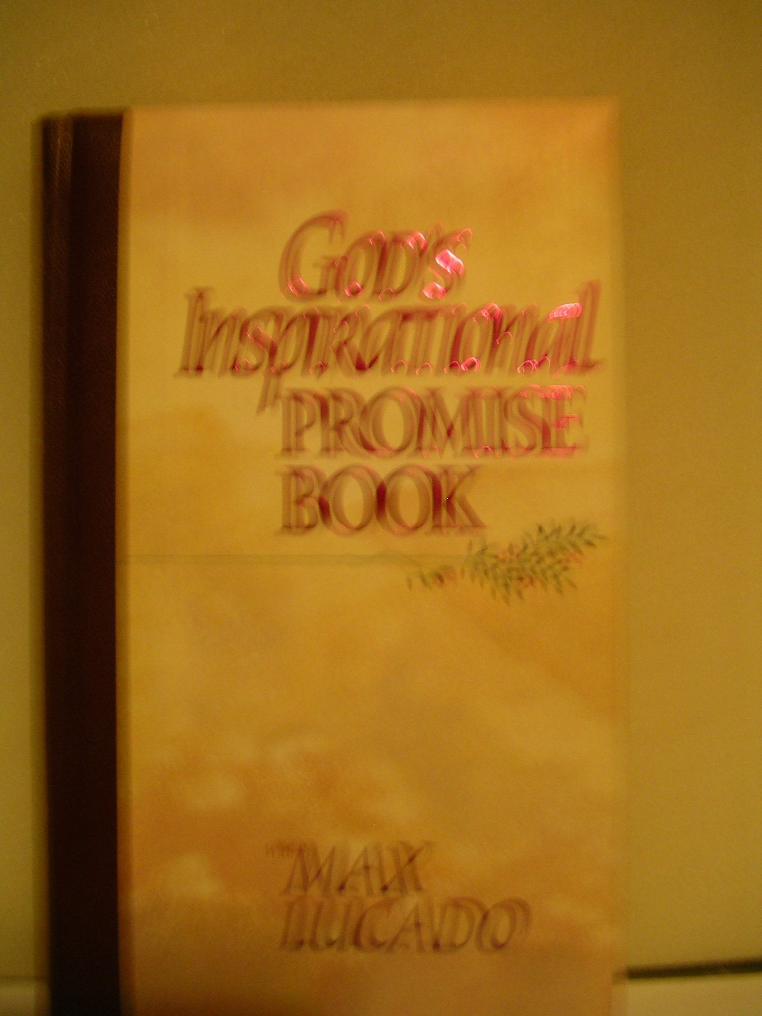 God's Inspirational Promise Book Books