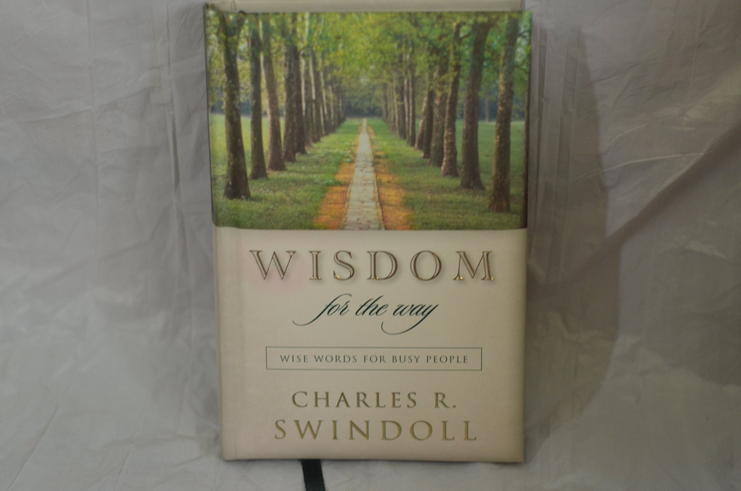Wisdom for the Way: Wise Word for Busy People: Wise Words for Busy People Religion & Esotericism