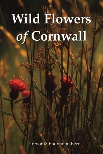 Wild Flowers of Cornwall Mathematics