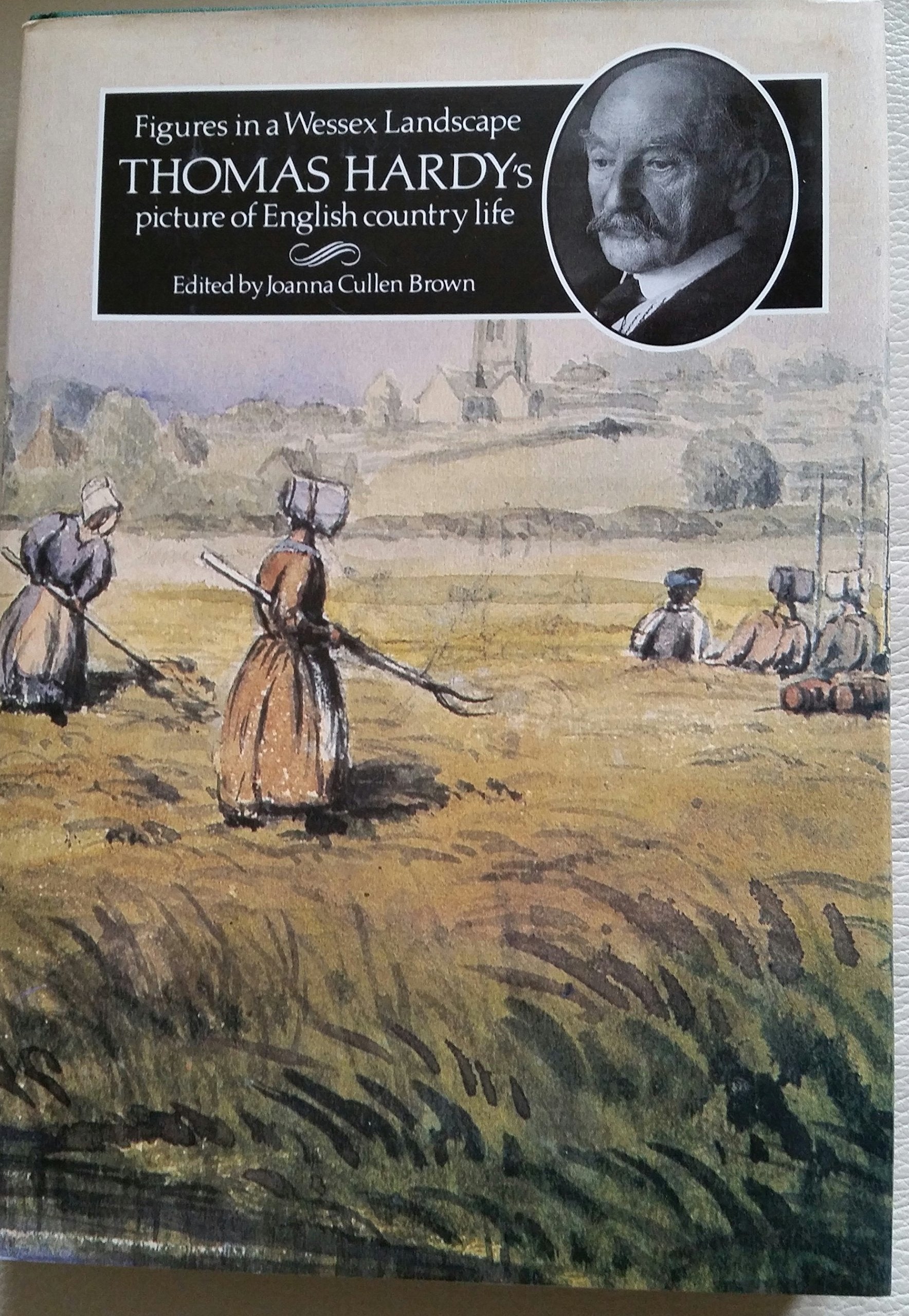 Figures in a Wessex Landscape: Thomas Hardy's Picture of English Country Life Contemporary literature Books