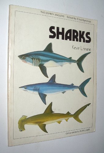 Product Image: Sharks