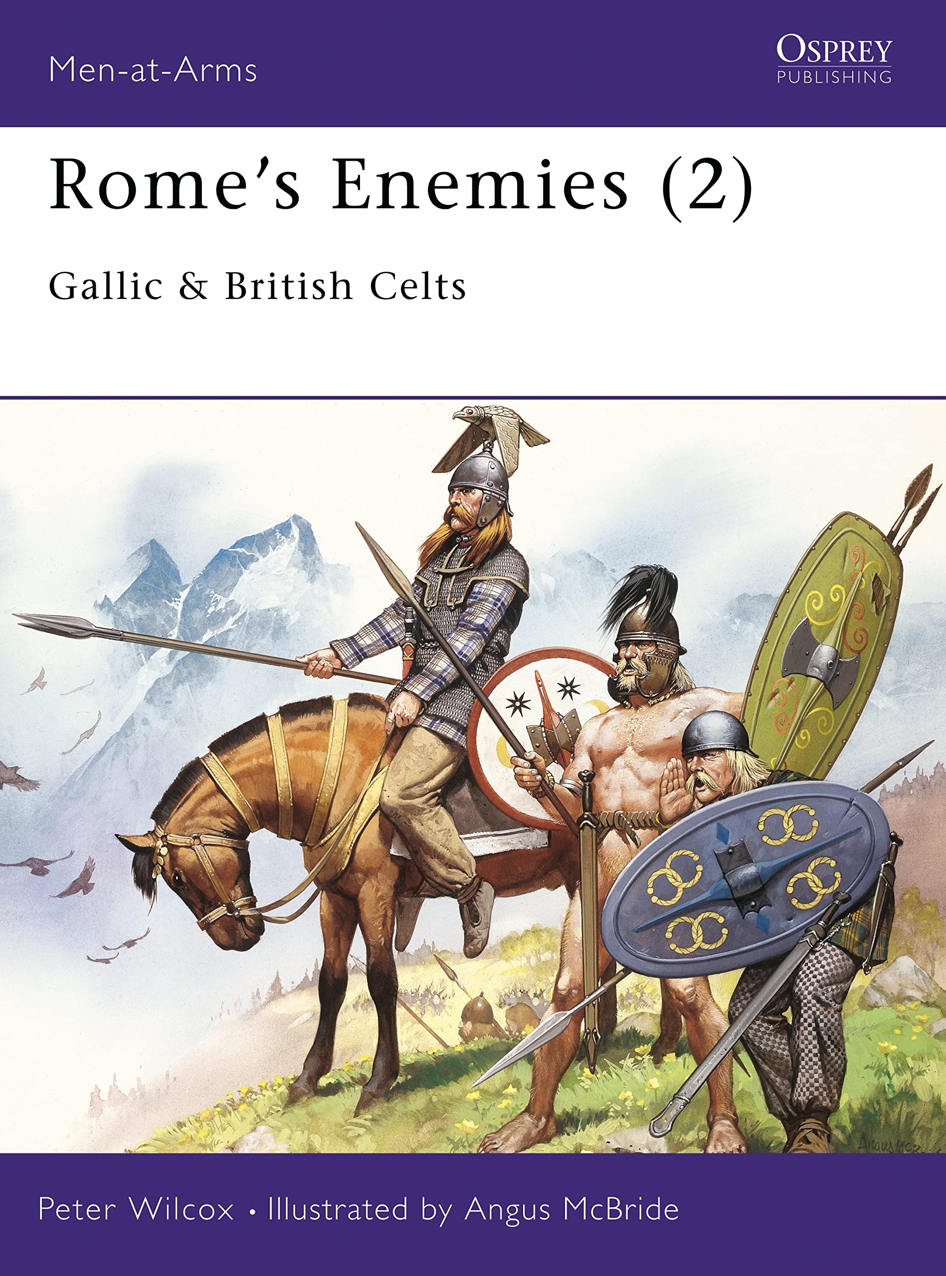 Rome's Enemies: Gallic and British Celts: Gallic & British Celts (Men-at-arms, Band 158) Social Sciences