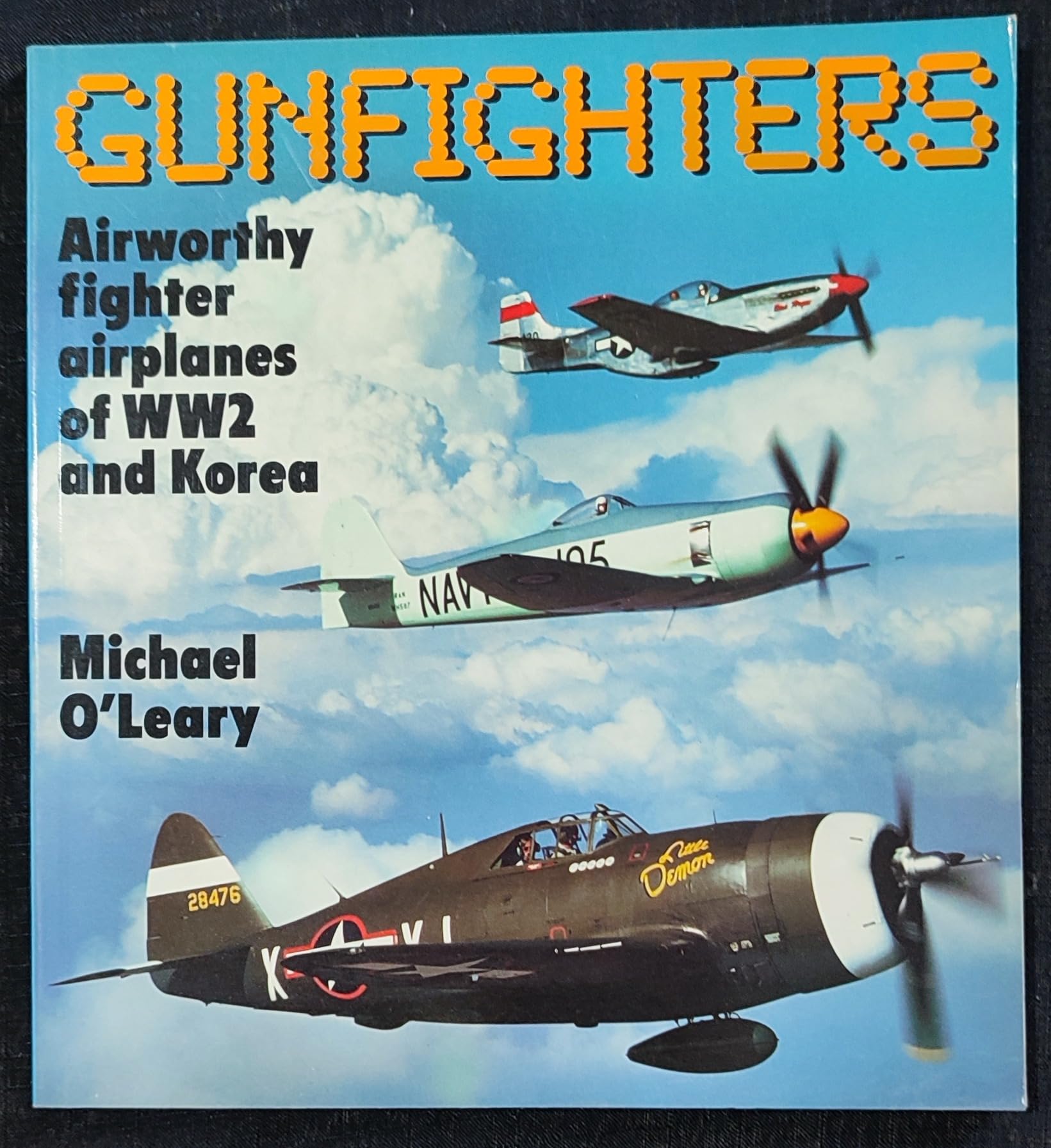 Gunfighters: Airworthy Fighter Airplanes of W W II and Korea Books