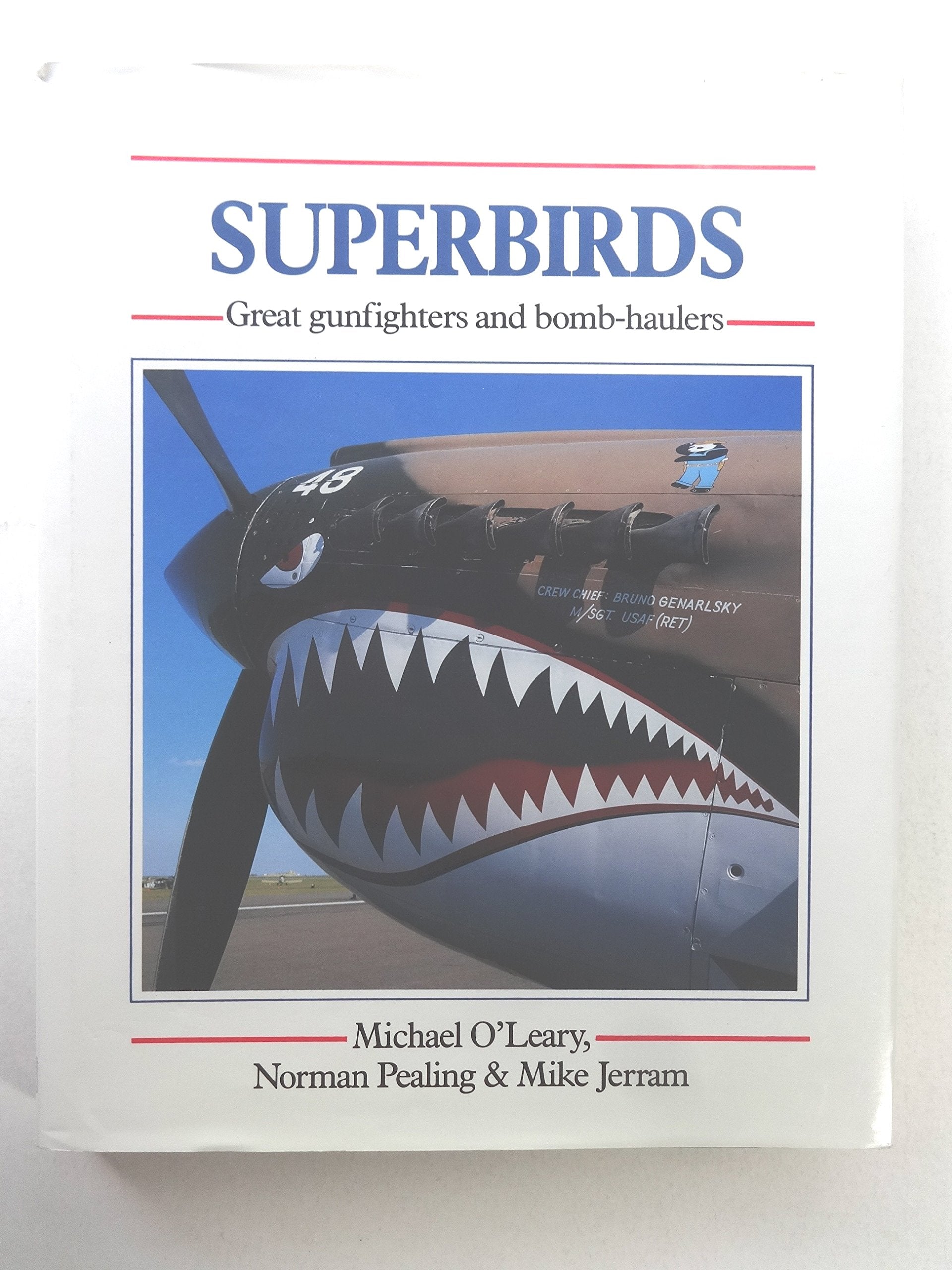 Superbirds: Great Gunfighters and Bomb Haulers Business & Technology