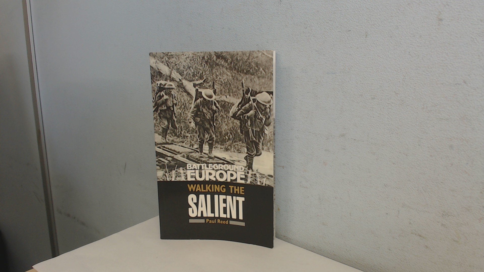 Product Image: Walking the Salient: Ypres