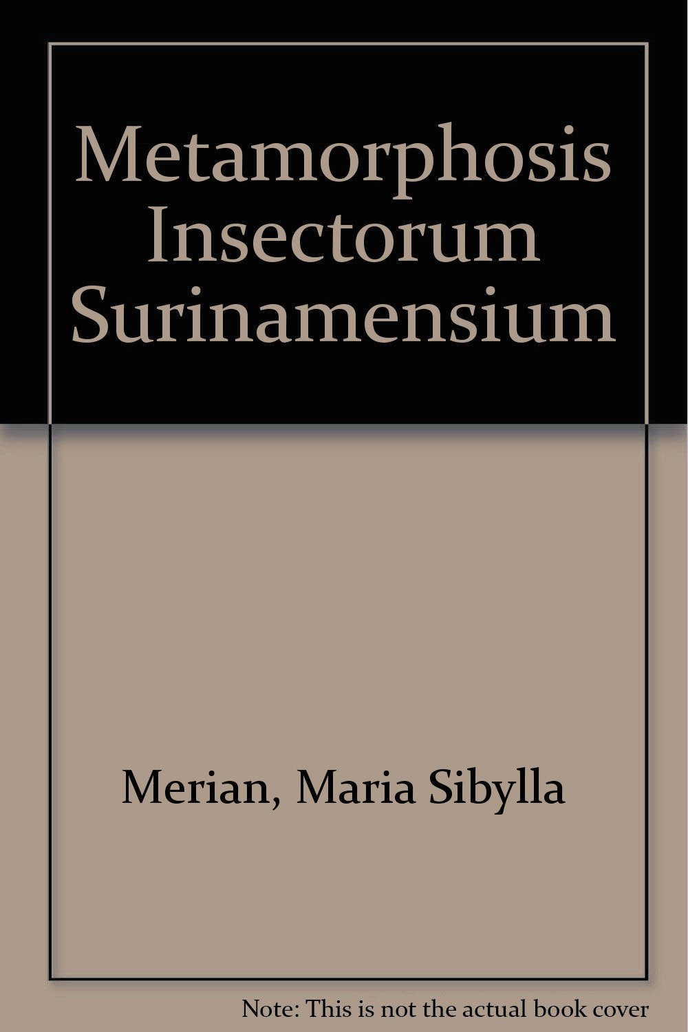 Methamorphosis Insectorum Surinamensium /Maria Sibylla Merian in Surinam: Faksimile-Ausgabe nach den Aquarellen in der Royal Library, Windsor Castle. Faksimileband und Kommentarband Books