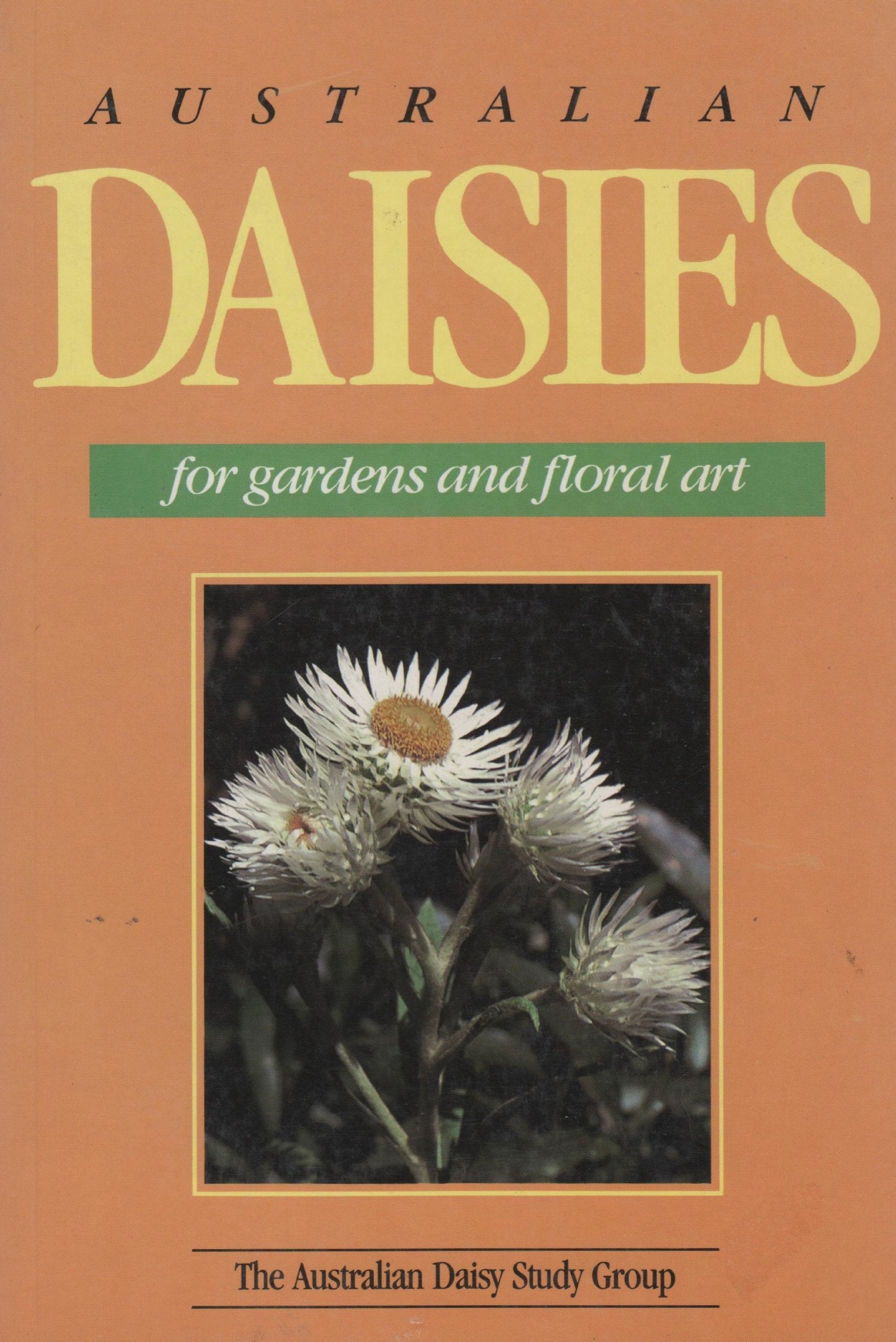 Australian Daisies for Gardens and Floral Art Garden & Plants
