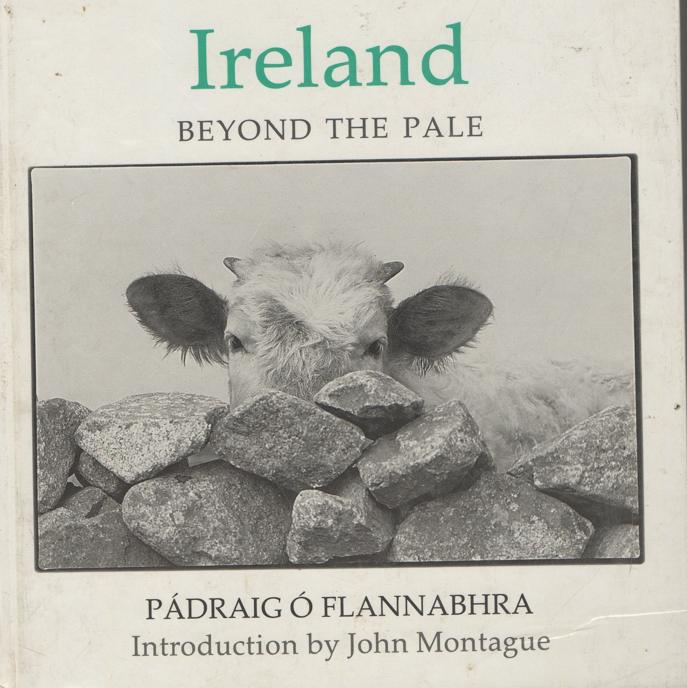 Ireland Beyond the Pale: A Photo-Essay Contemporary literature