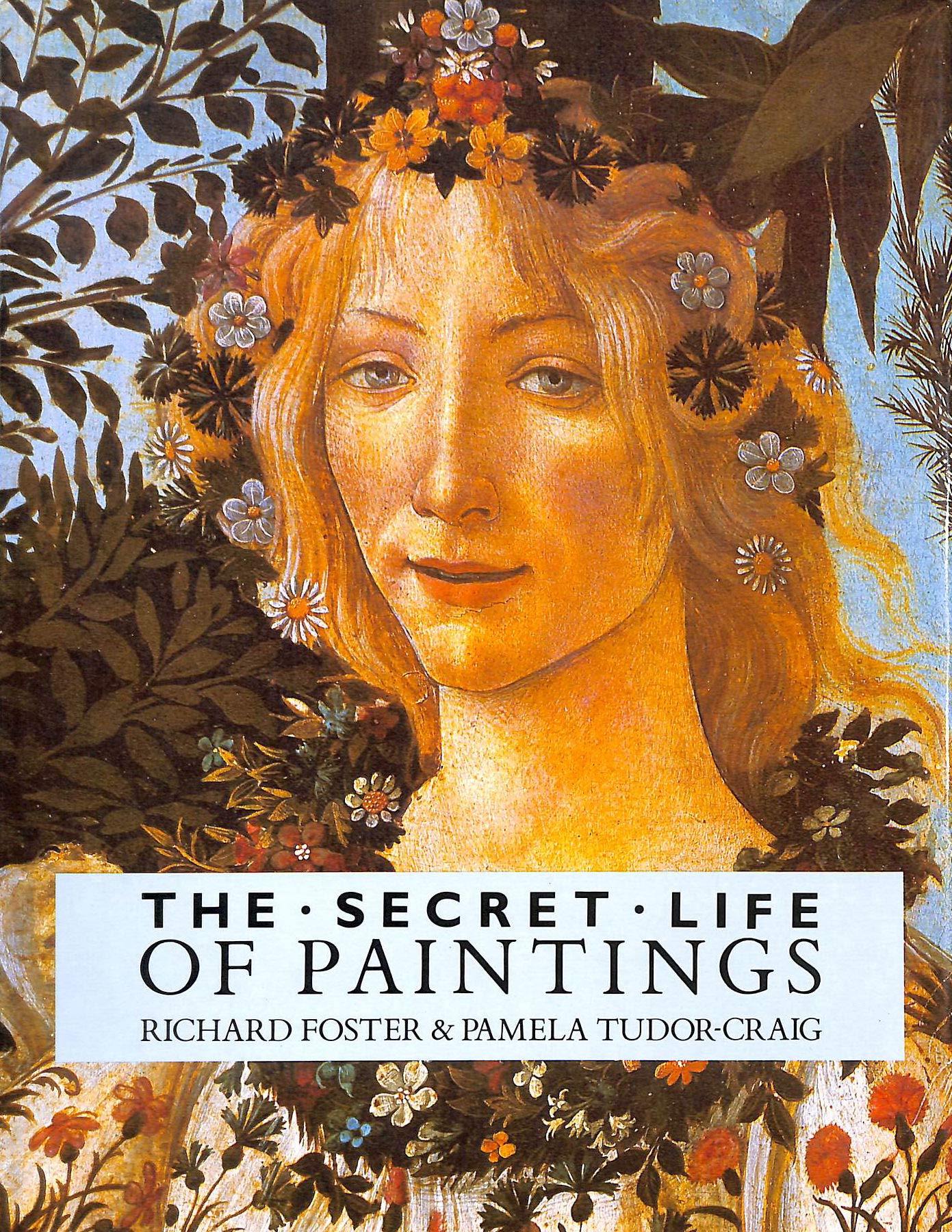 Secret Life of Paintings book