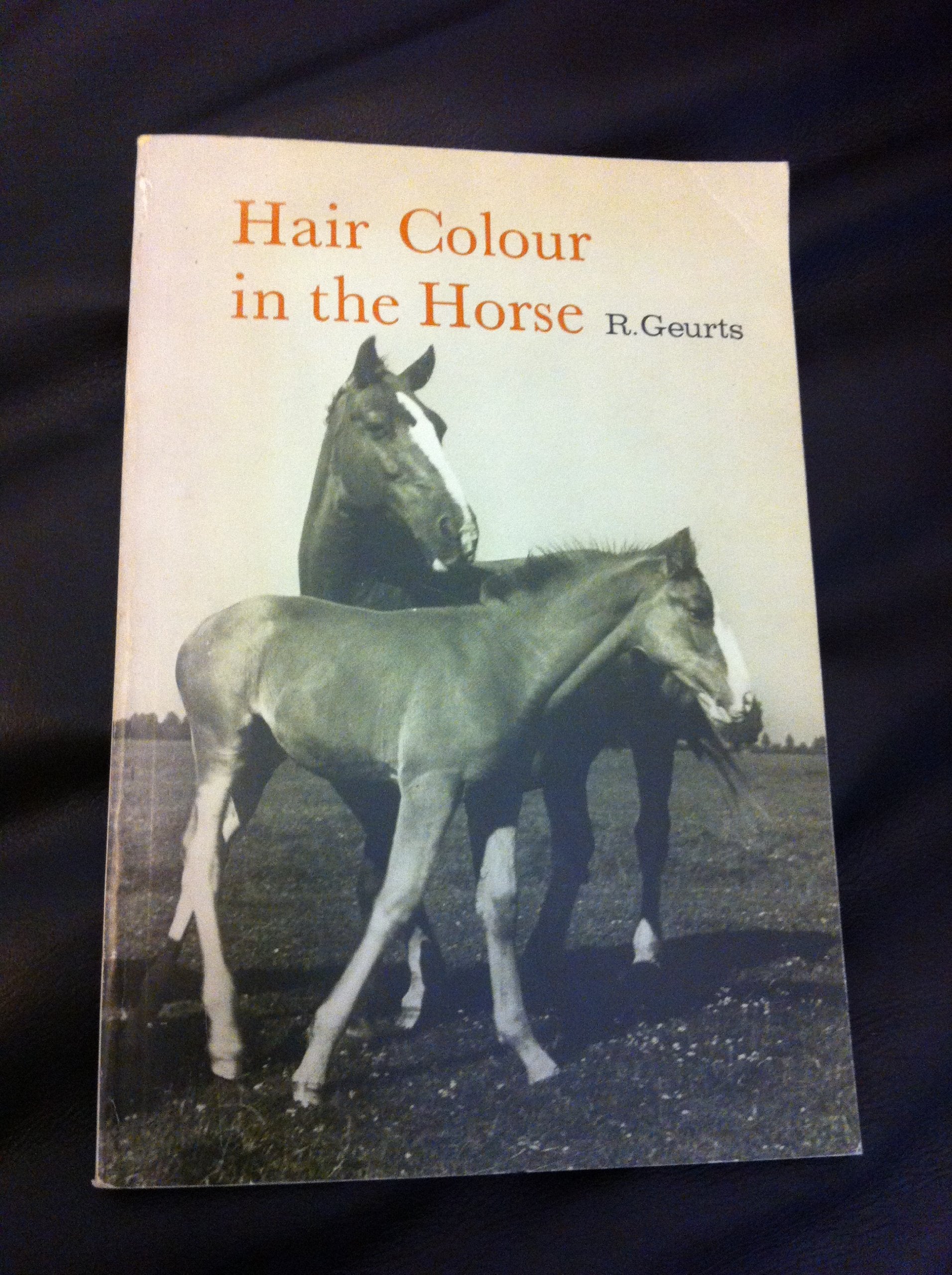 Hair Colour in the Horse Natural Sciences