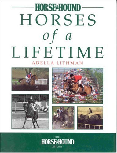 Horses of a Lifetime Leisure & Fun