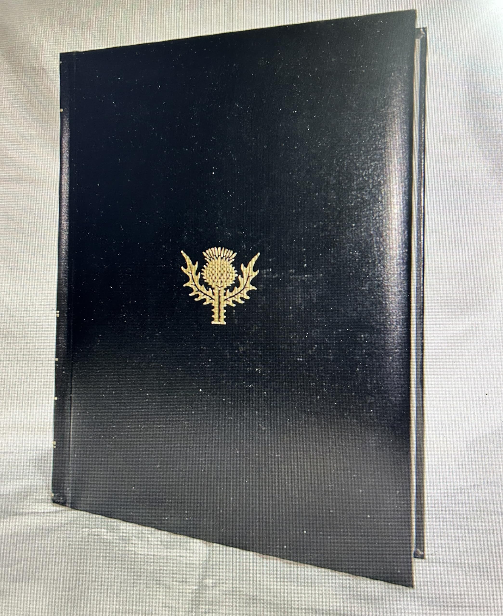 Britannica Book of the Year 1996 Reference Books