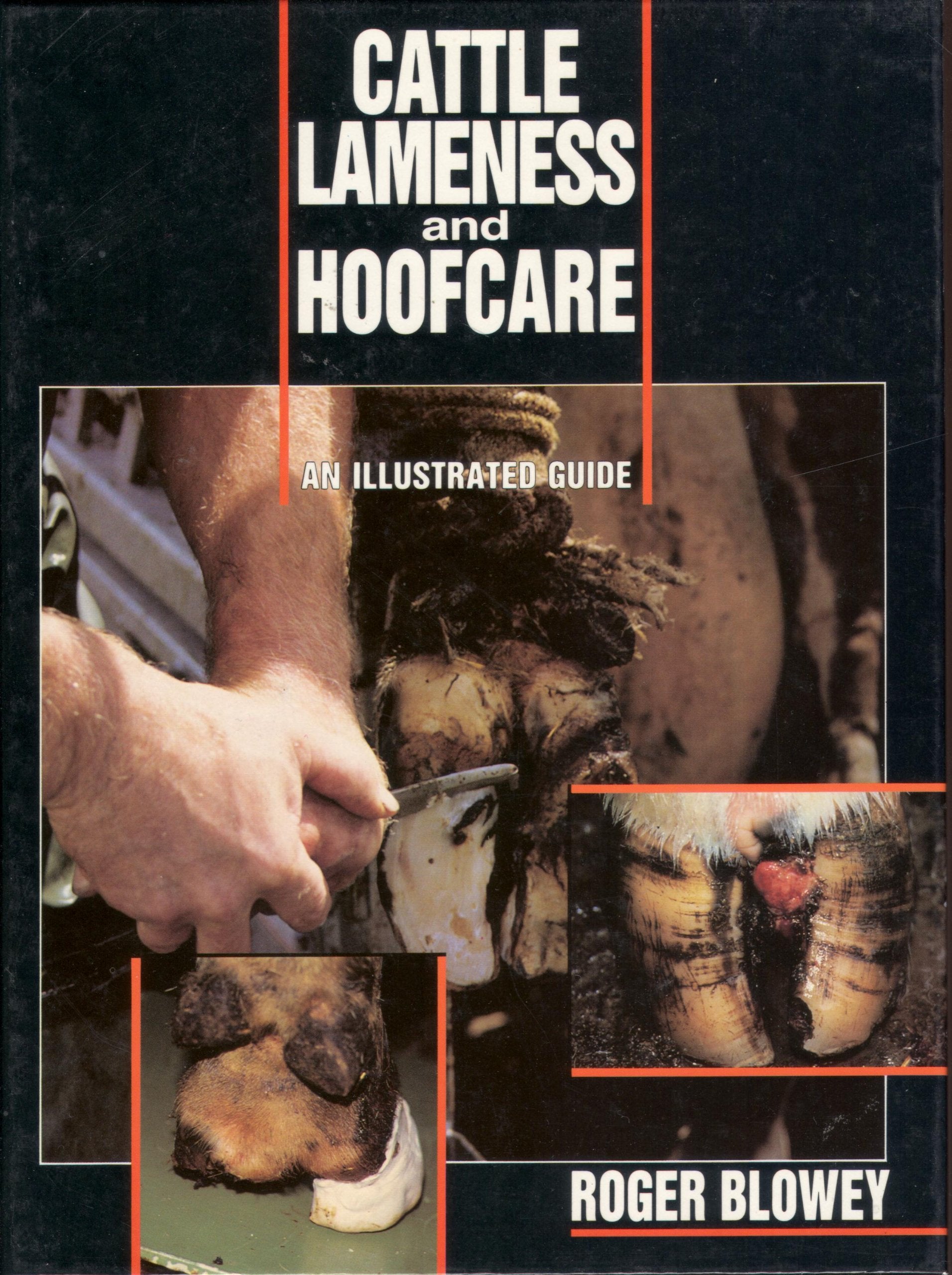 Cattle Lameness and Hoofcare: An Illustrated Guide Medicine