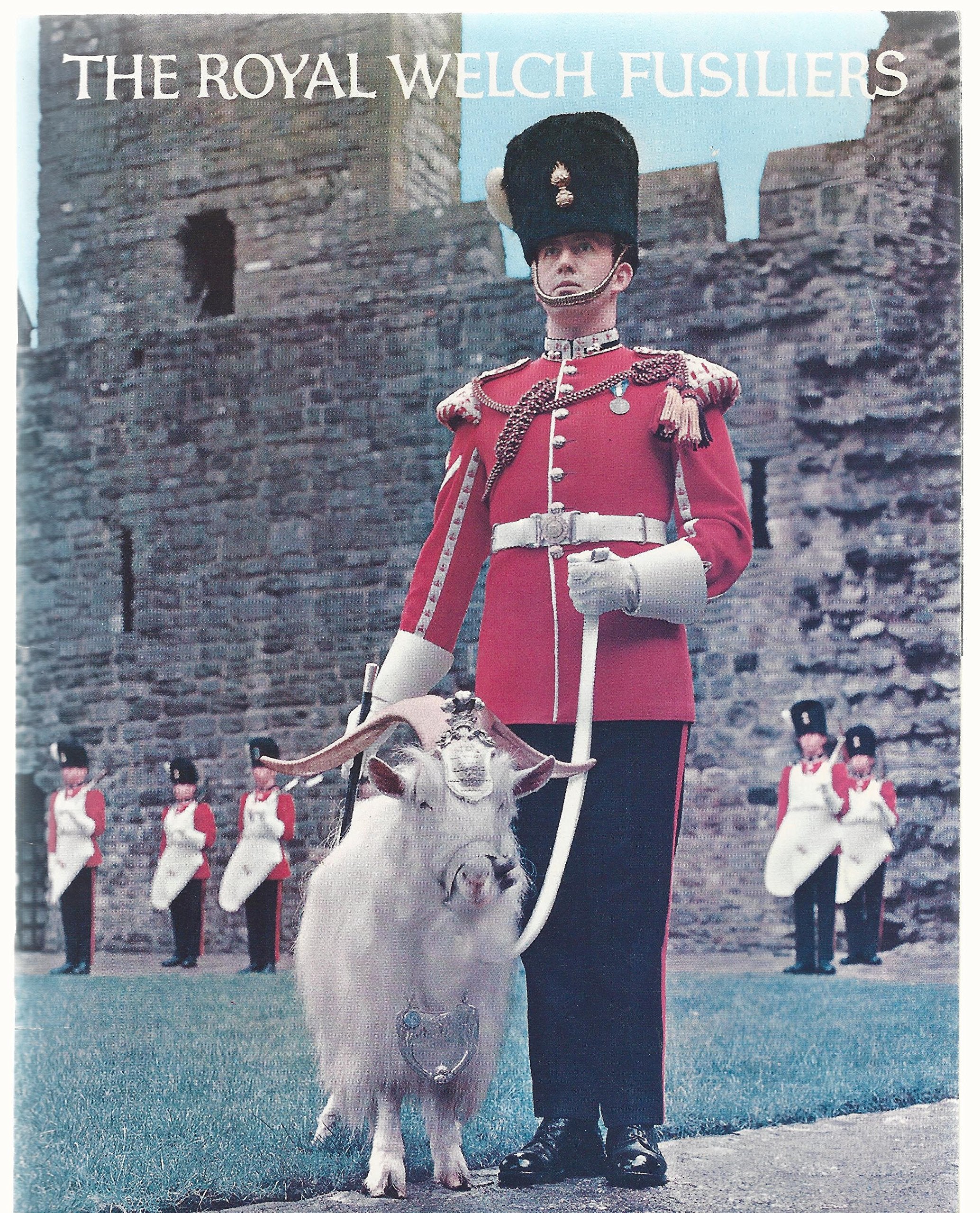 Royal Welch Fusiliers (Pride of Britain) Books