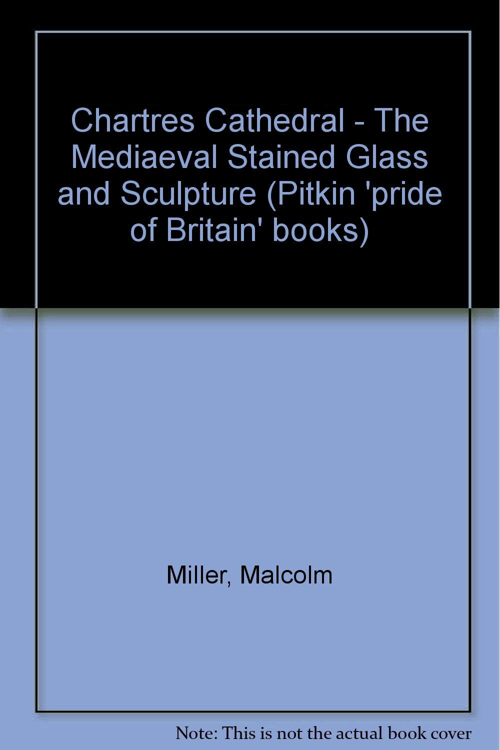 Chartres Cathedral - The Mediaeval Stained Glass and Sculpture Books