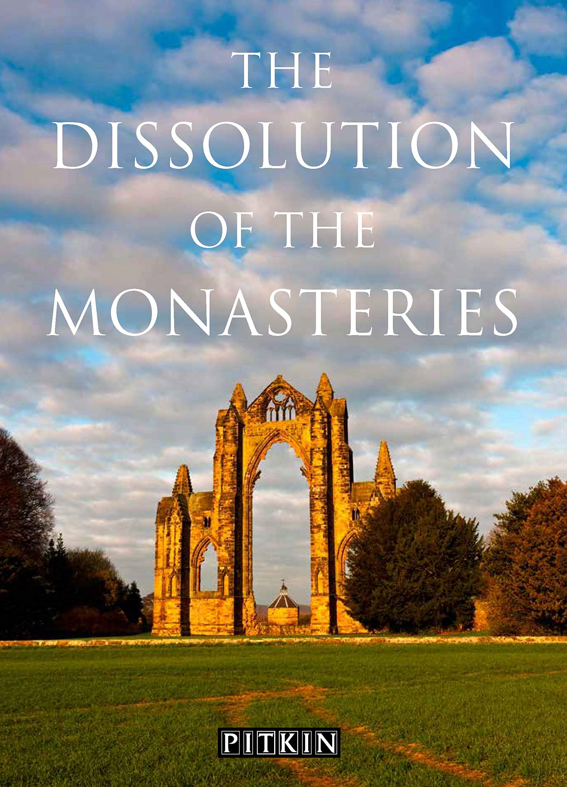 Dissolution of the Monasteries Politics & History books