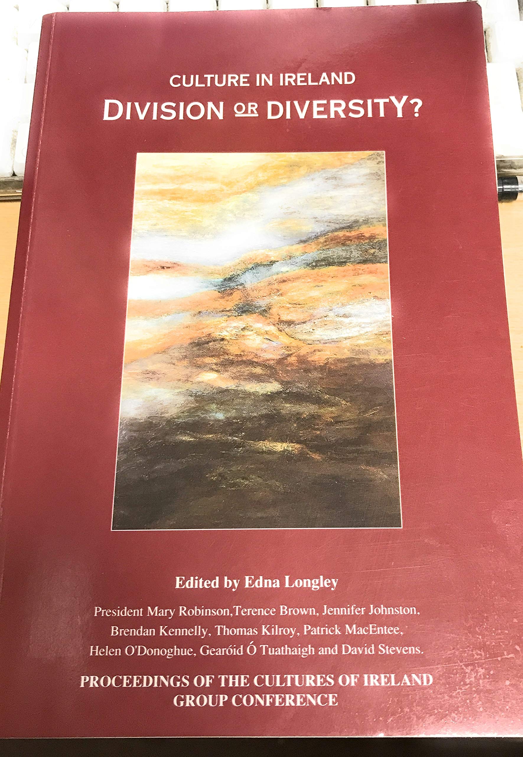 Culture in Ireland - Division or Diversity? book